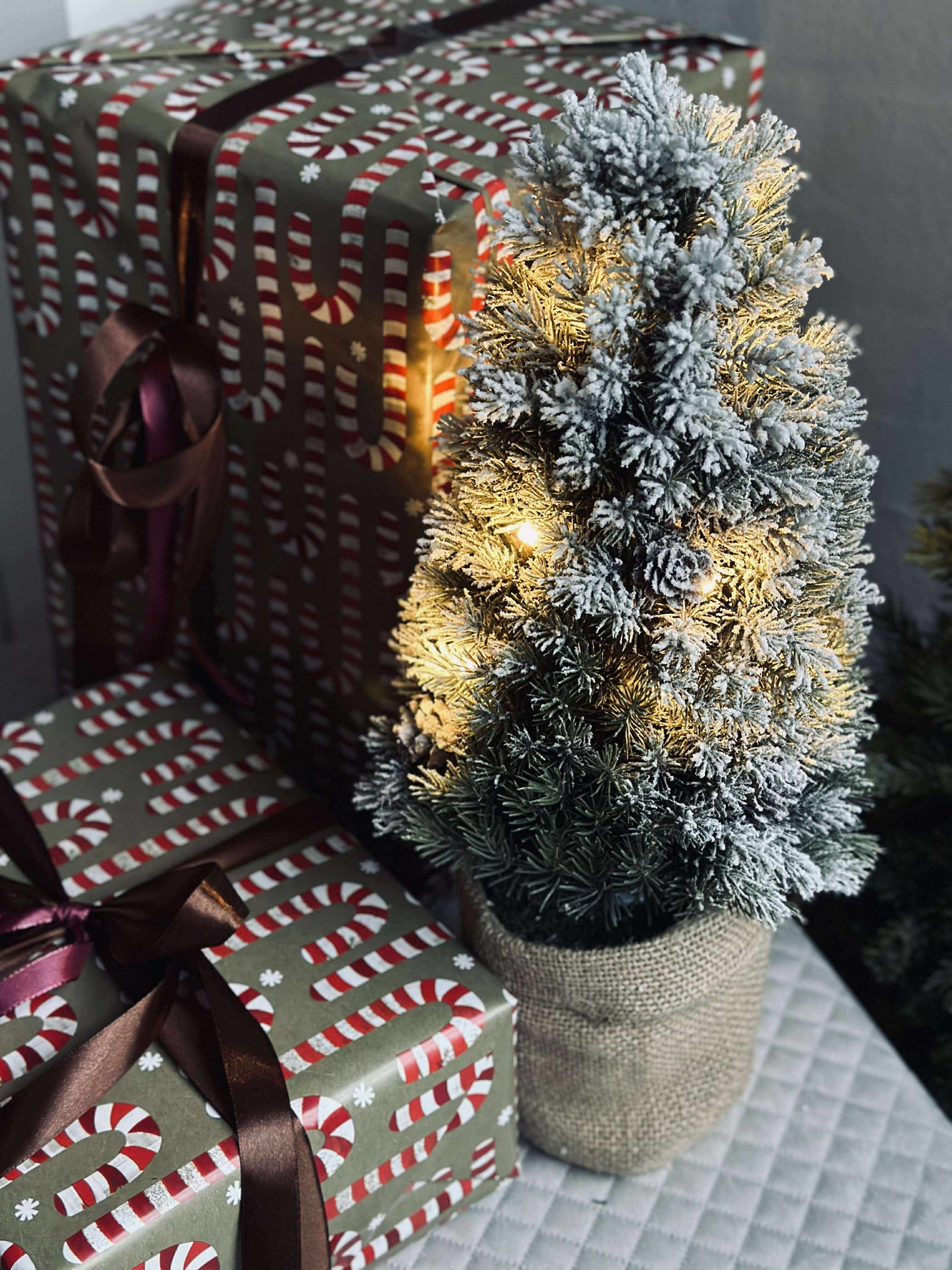 Baum mit Lichterkette