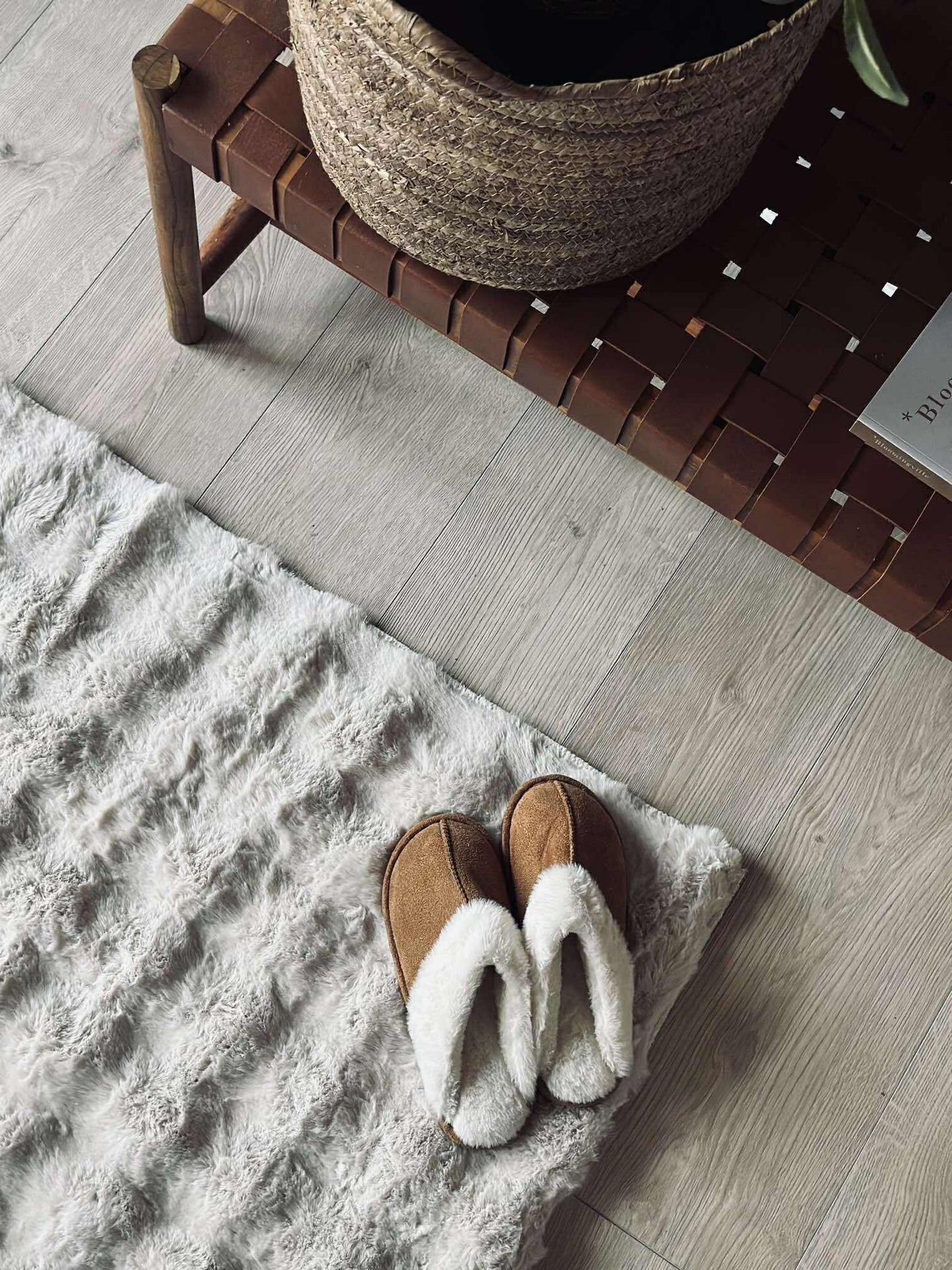 Bodenteppich Plüsch - 60x90 Beige