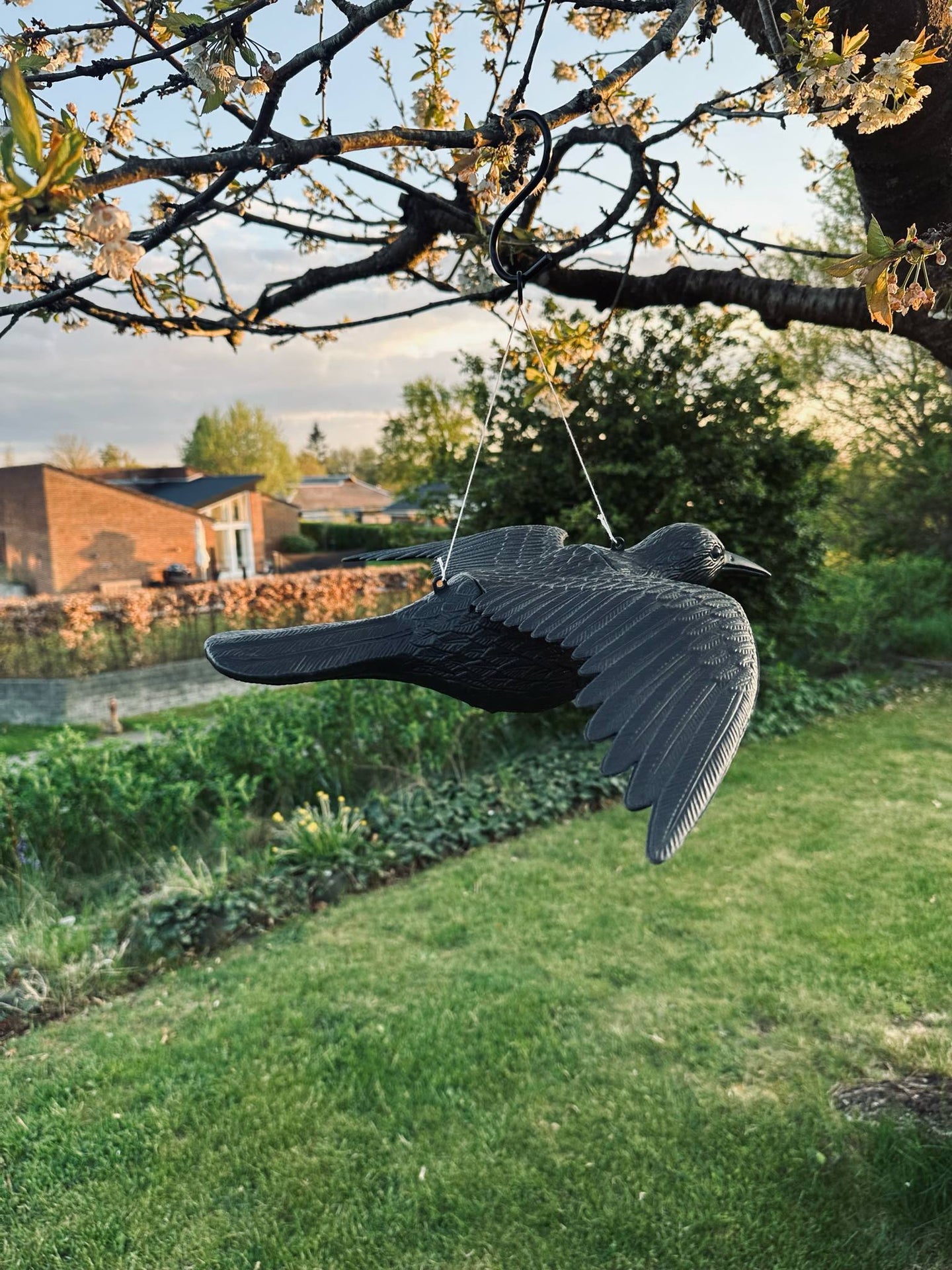 Vogel - RAVEN BLACK