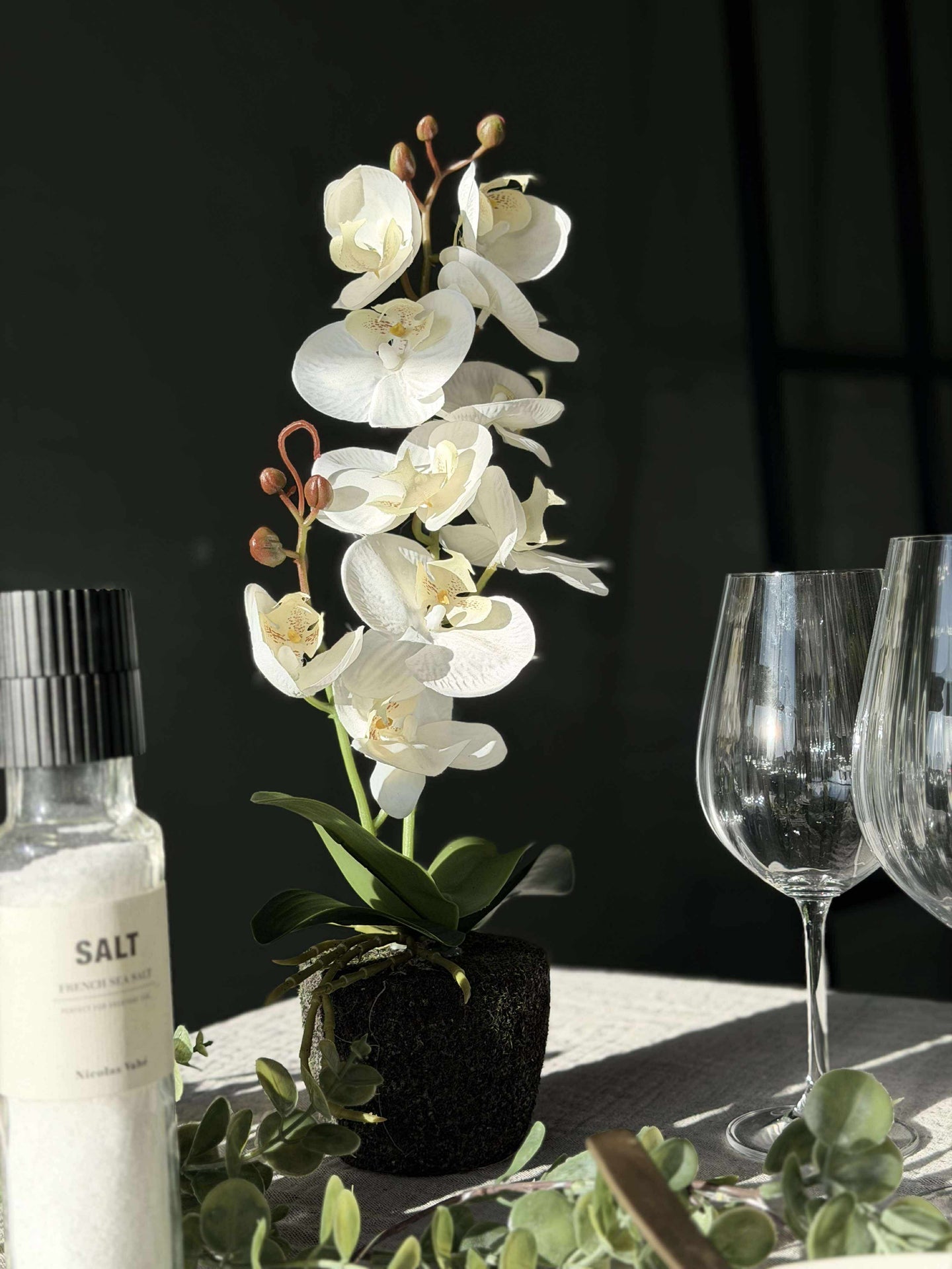 Orchideen-Mooskugel