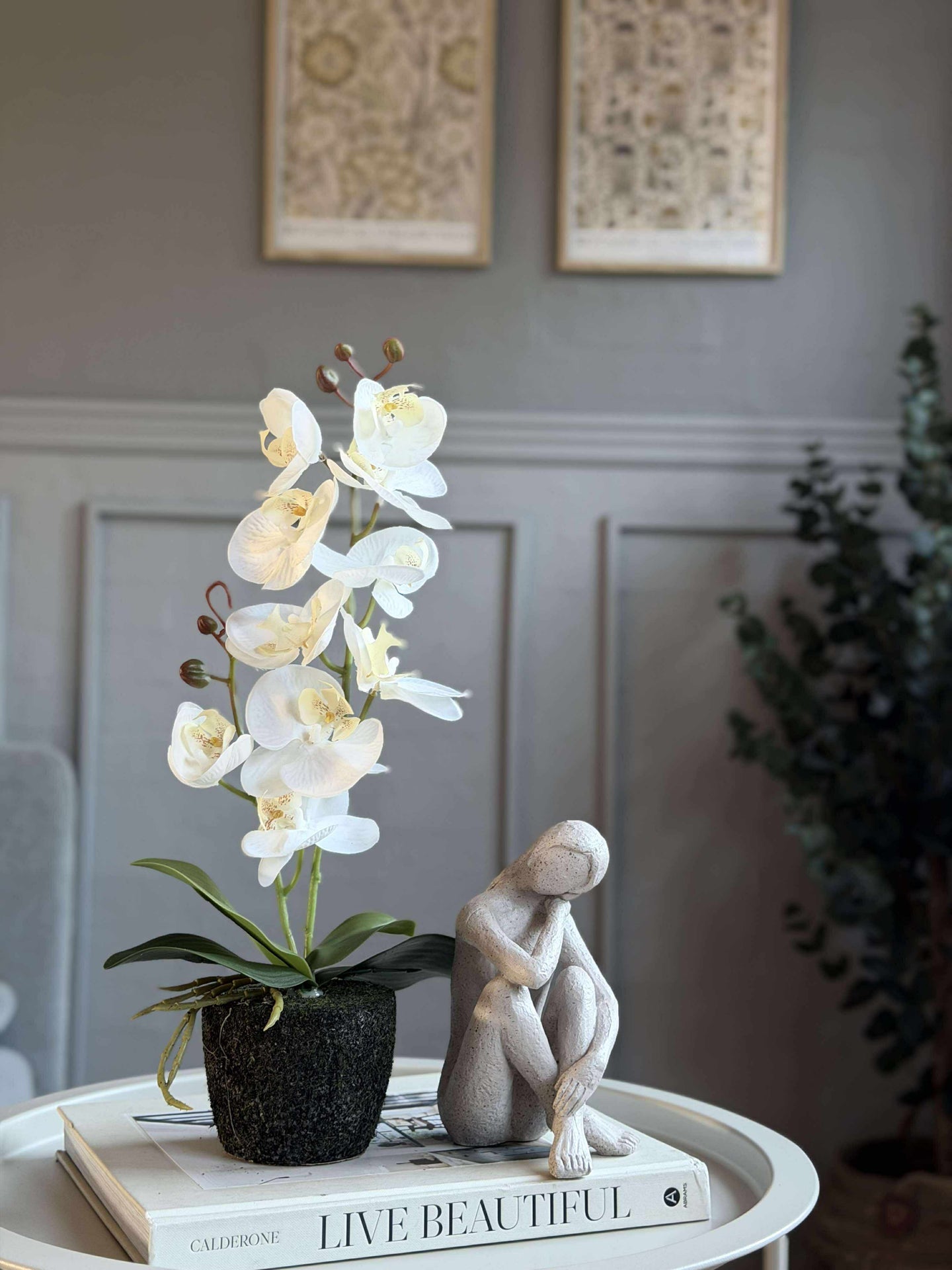 Orchideen-Mooskugel