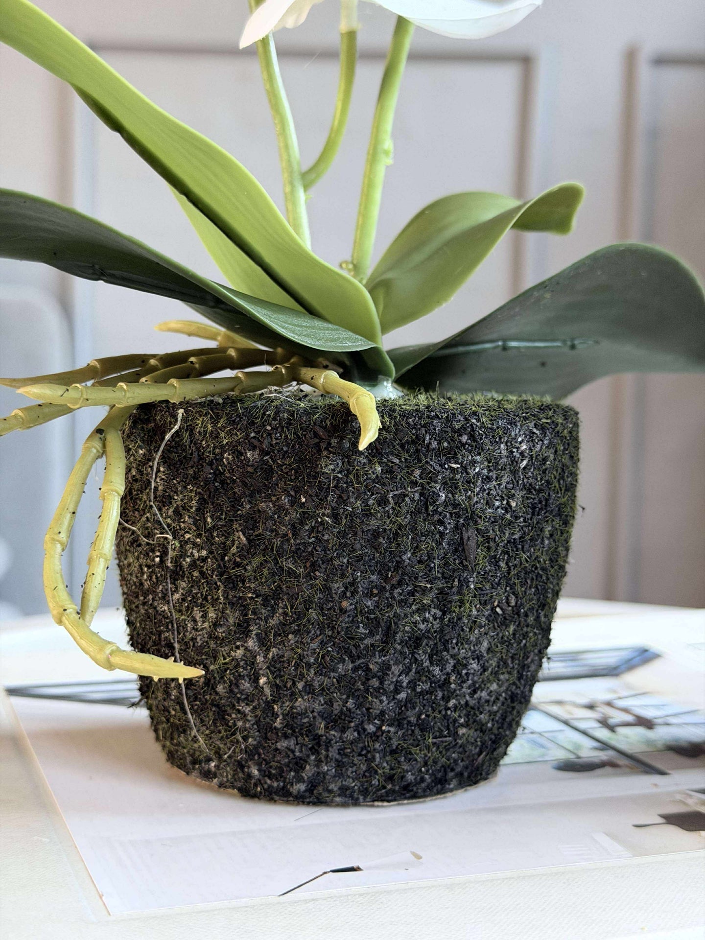 Orchideen-Mooskugel