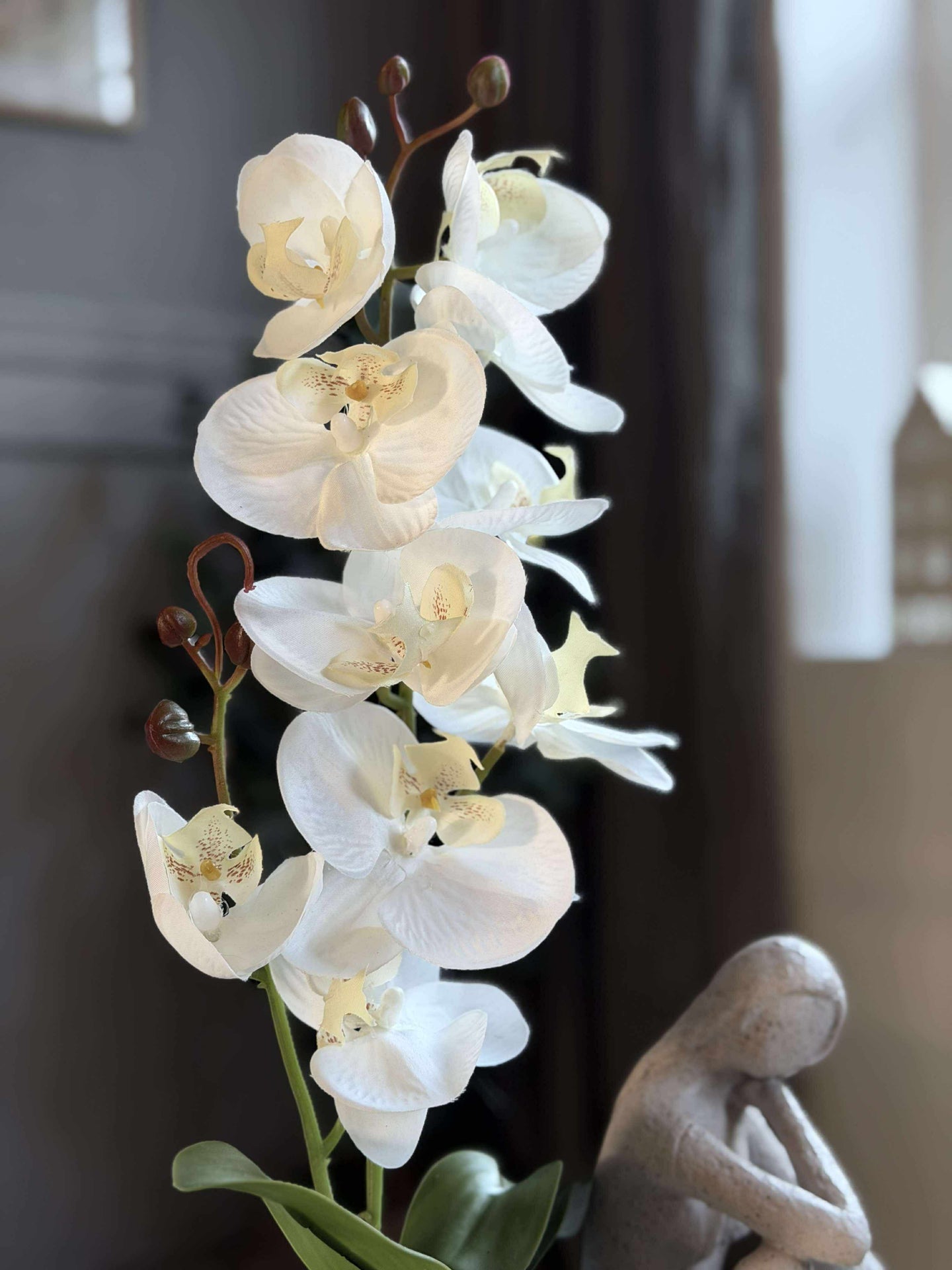 Orchideen-Mooskugel