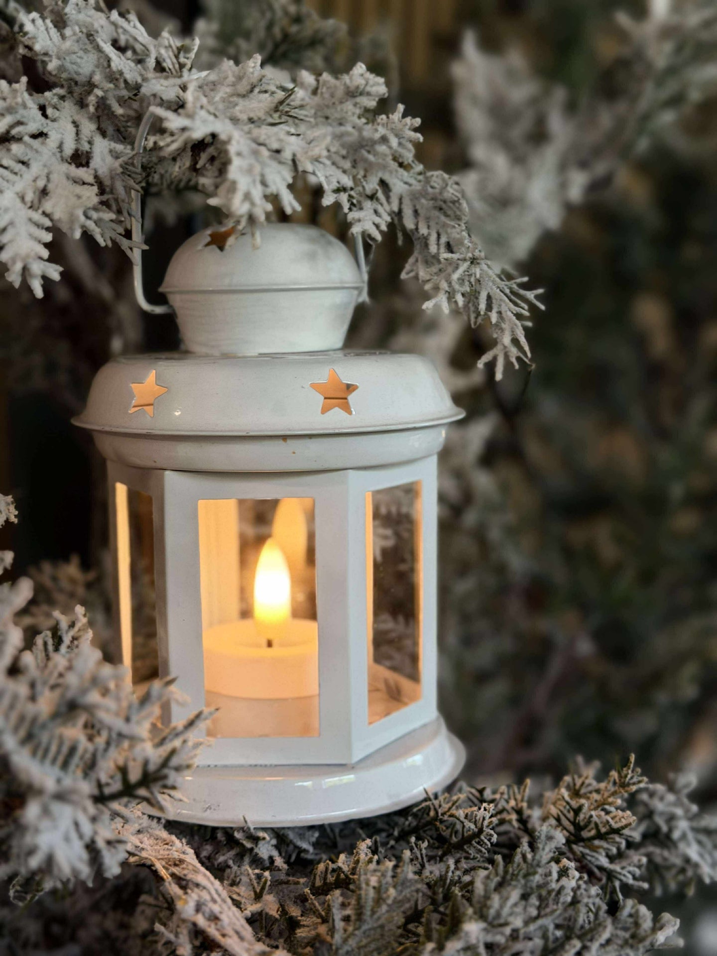 Lanterne White