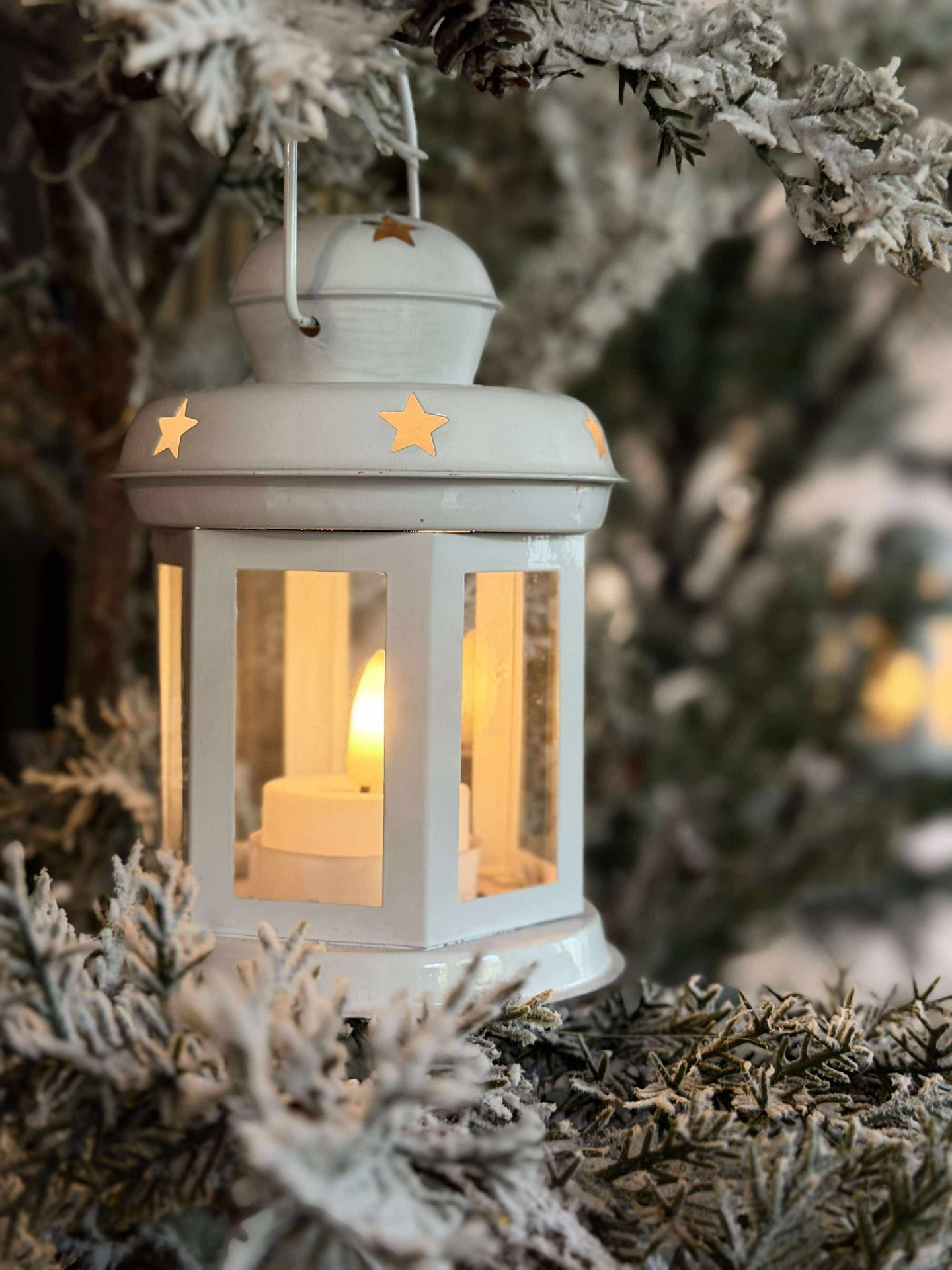 Lanterne White
