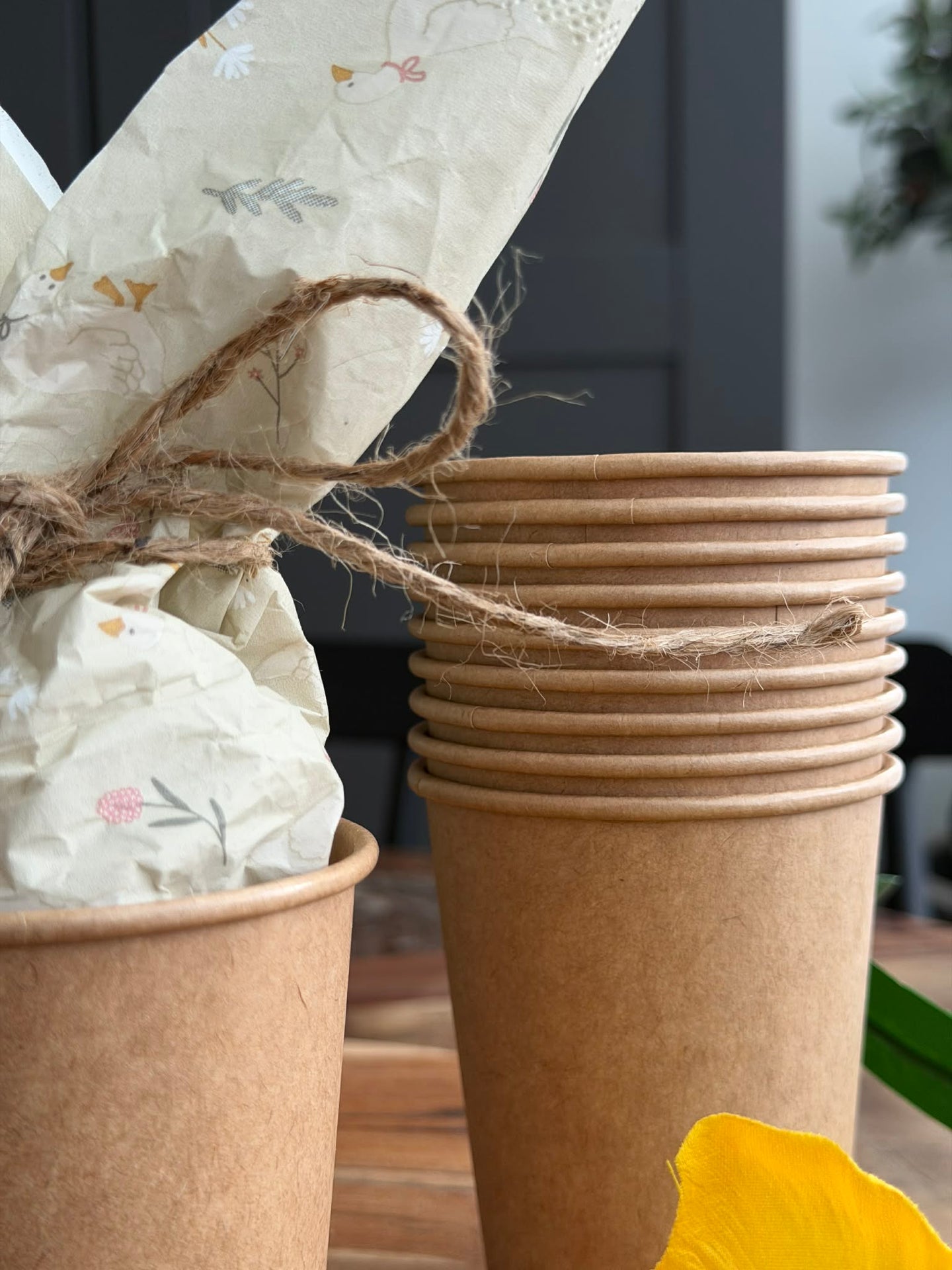 Becher 10 Stk. - Papier 250 ml