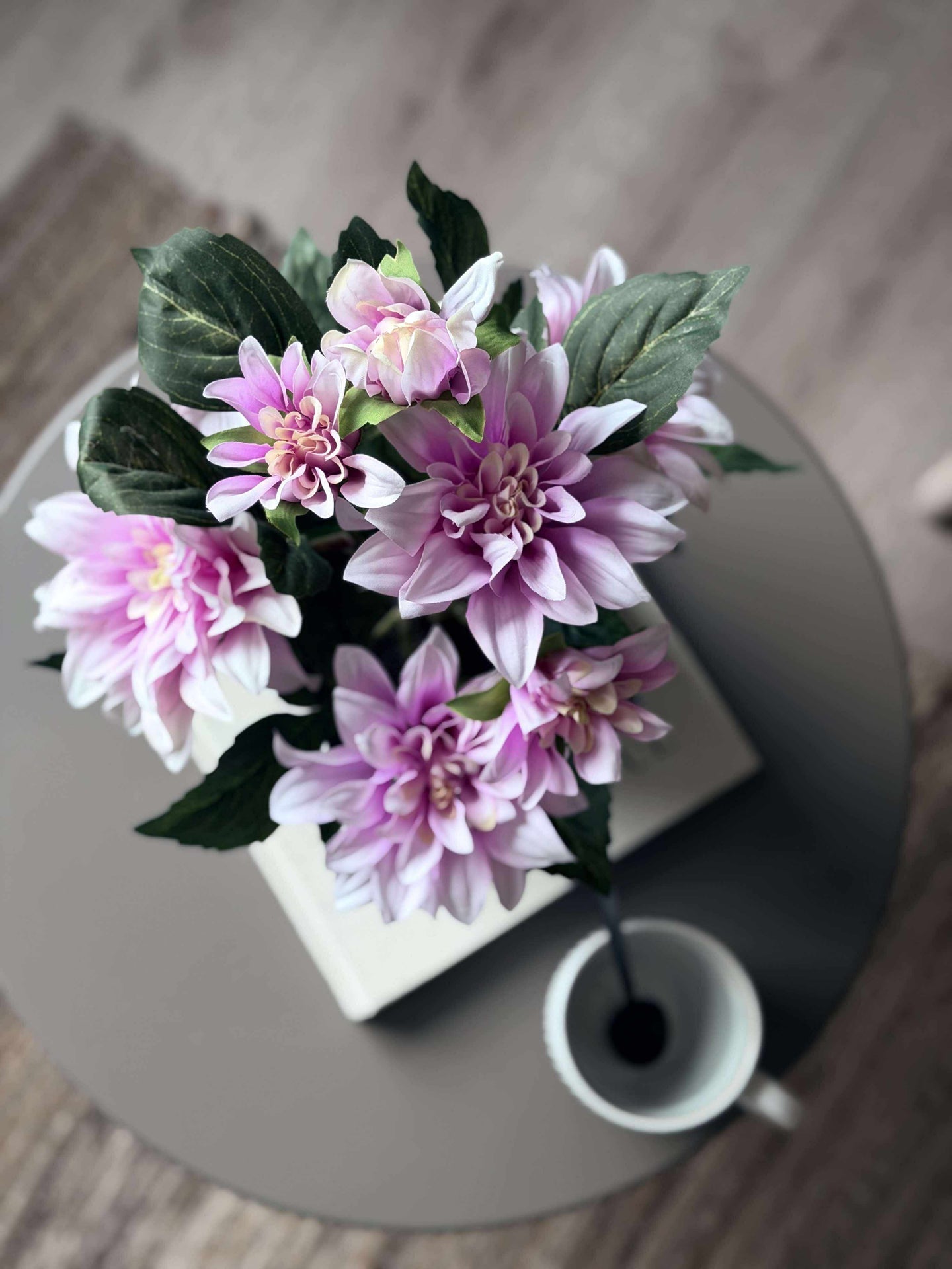 Dahlie im Topf - Rosa