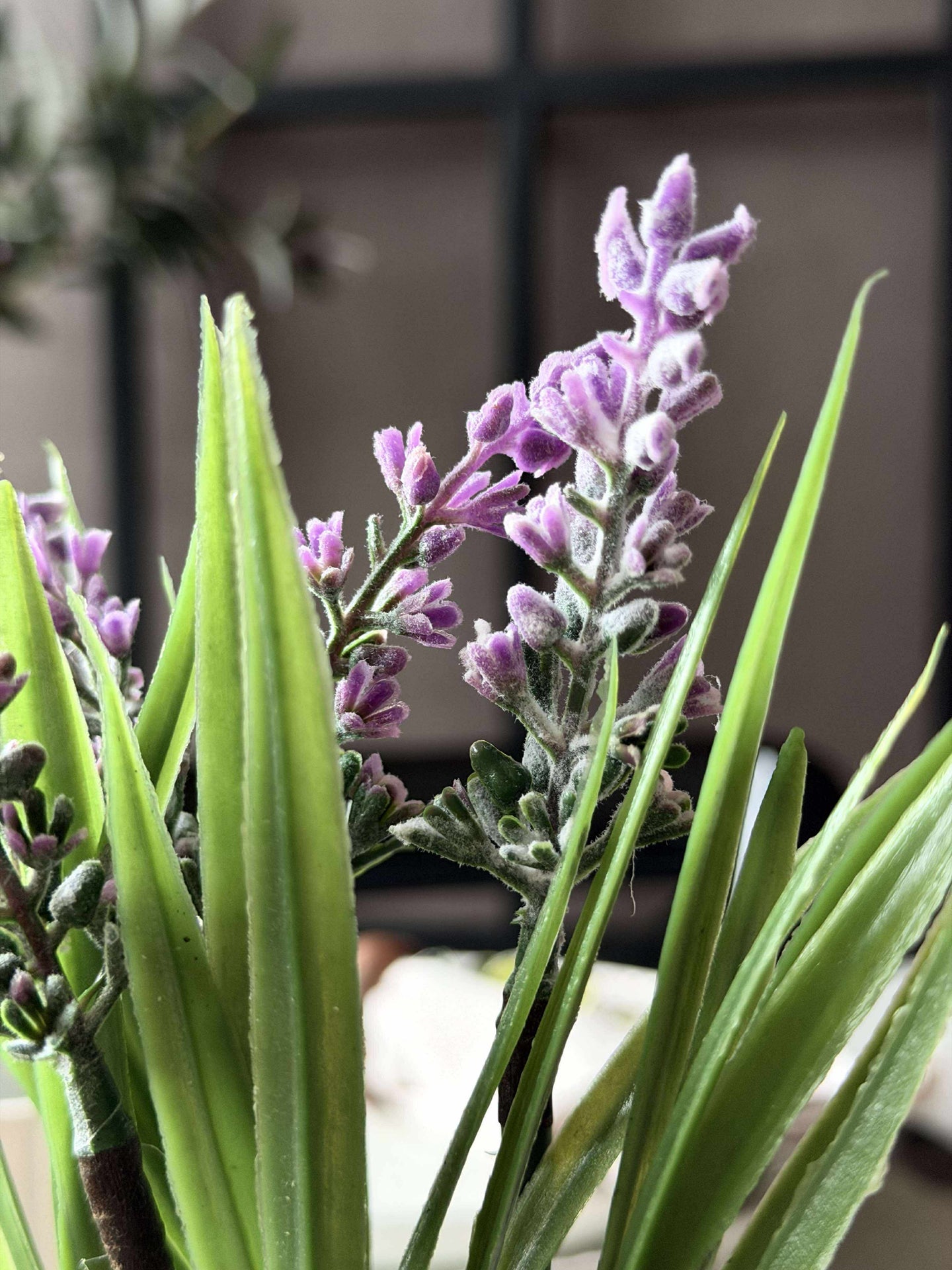 Lavendel-Mooskugel