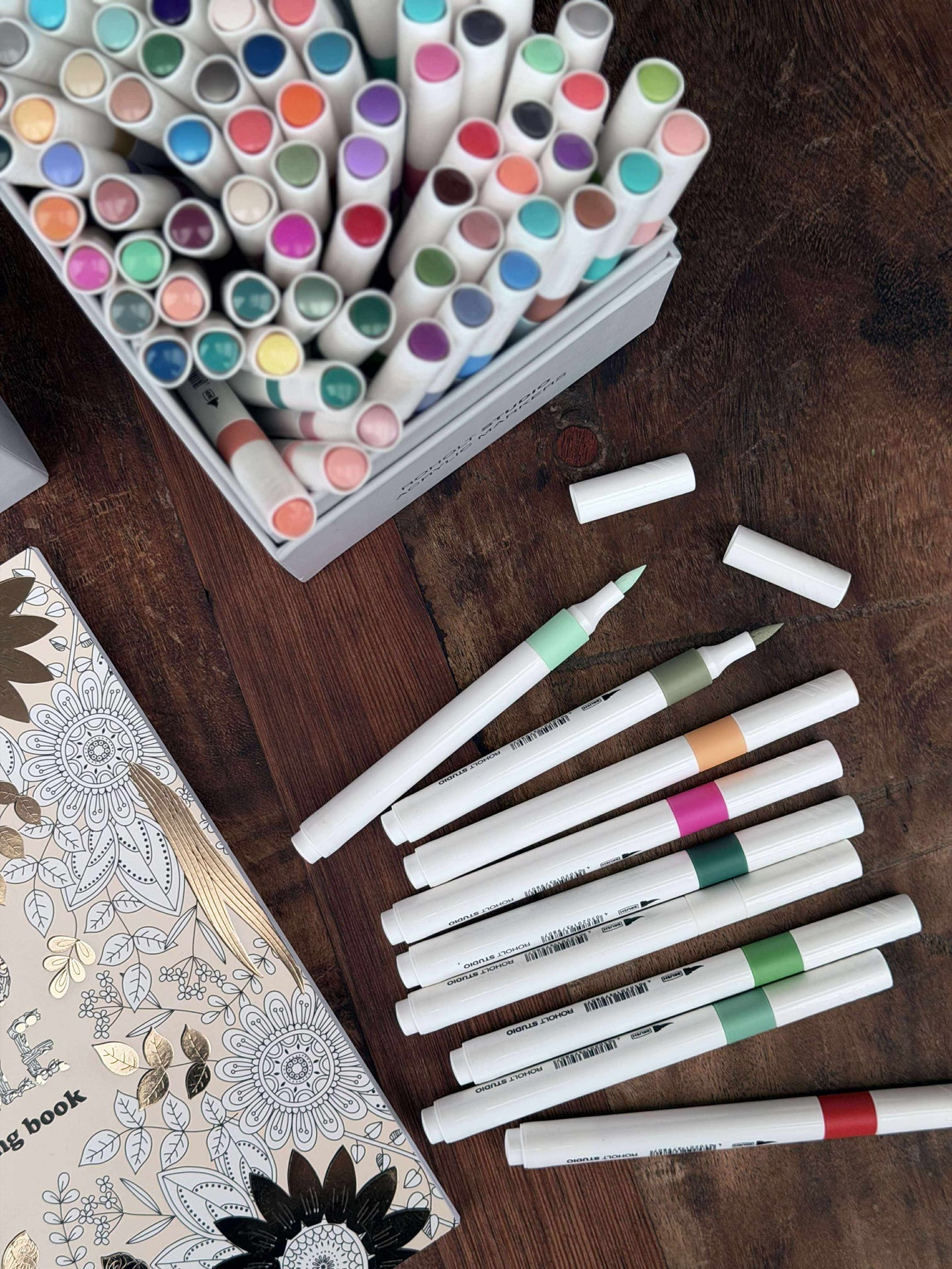 Acryl-Marker - 100 Stk. Gut für Steinmalerei