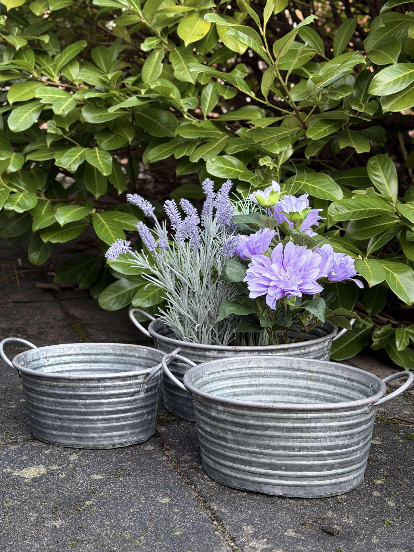 Zinkschalen - Set mit 3 Stk. hellem Rand
