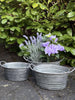 Zinkschalen - Set mit 3 Stk. hellem Rand