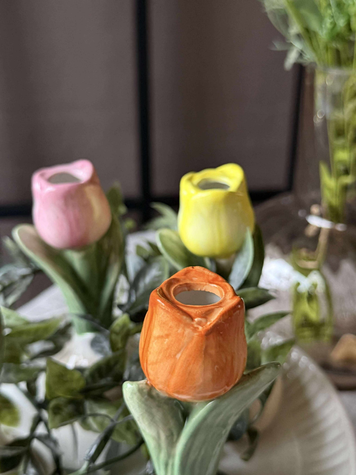 Tulpenzwiebeln - 4 Farben