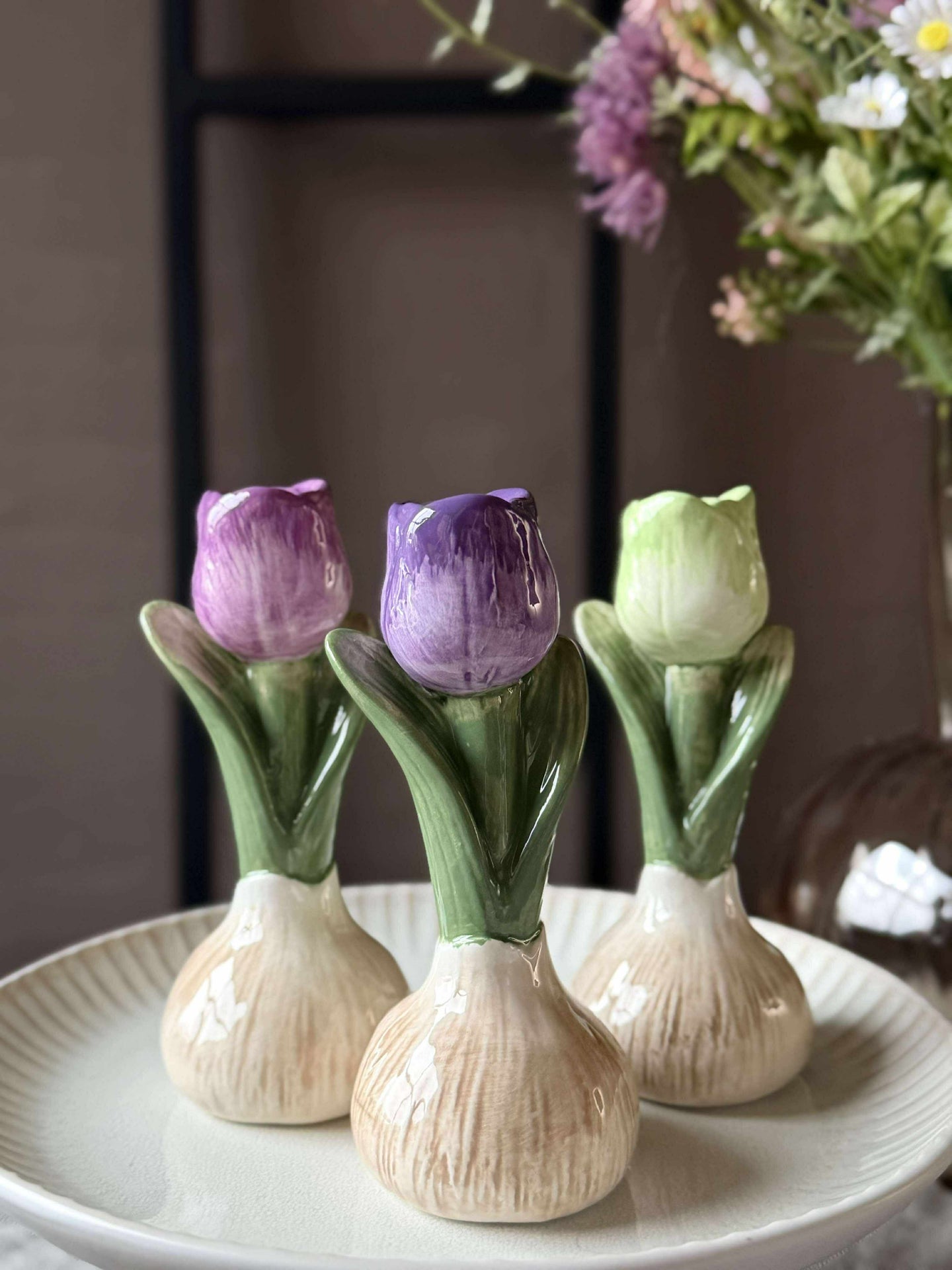 Tulpenzwiebel - 3 Farben