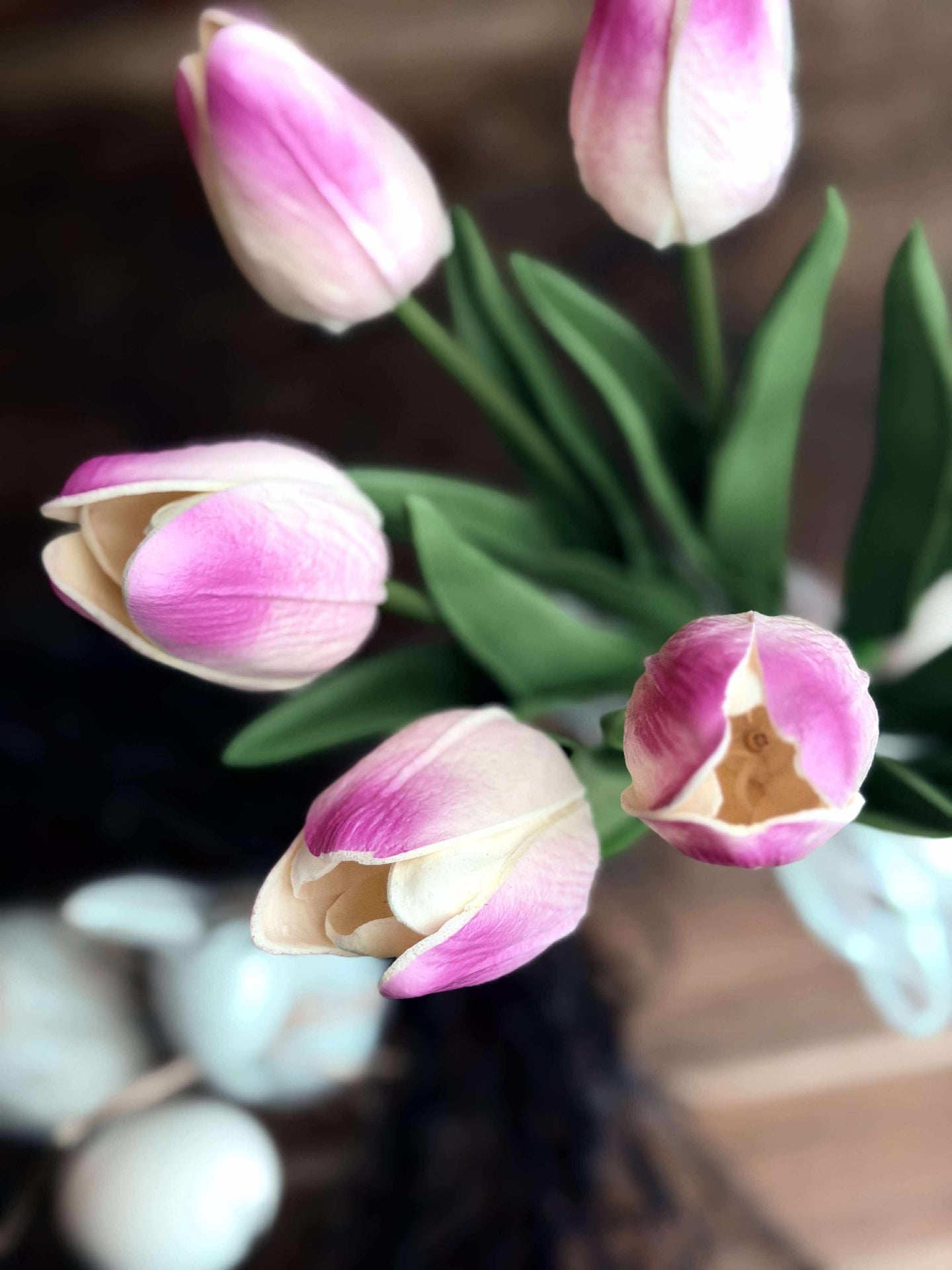 Tulpen mit Licht - Hellrosa