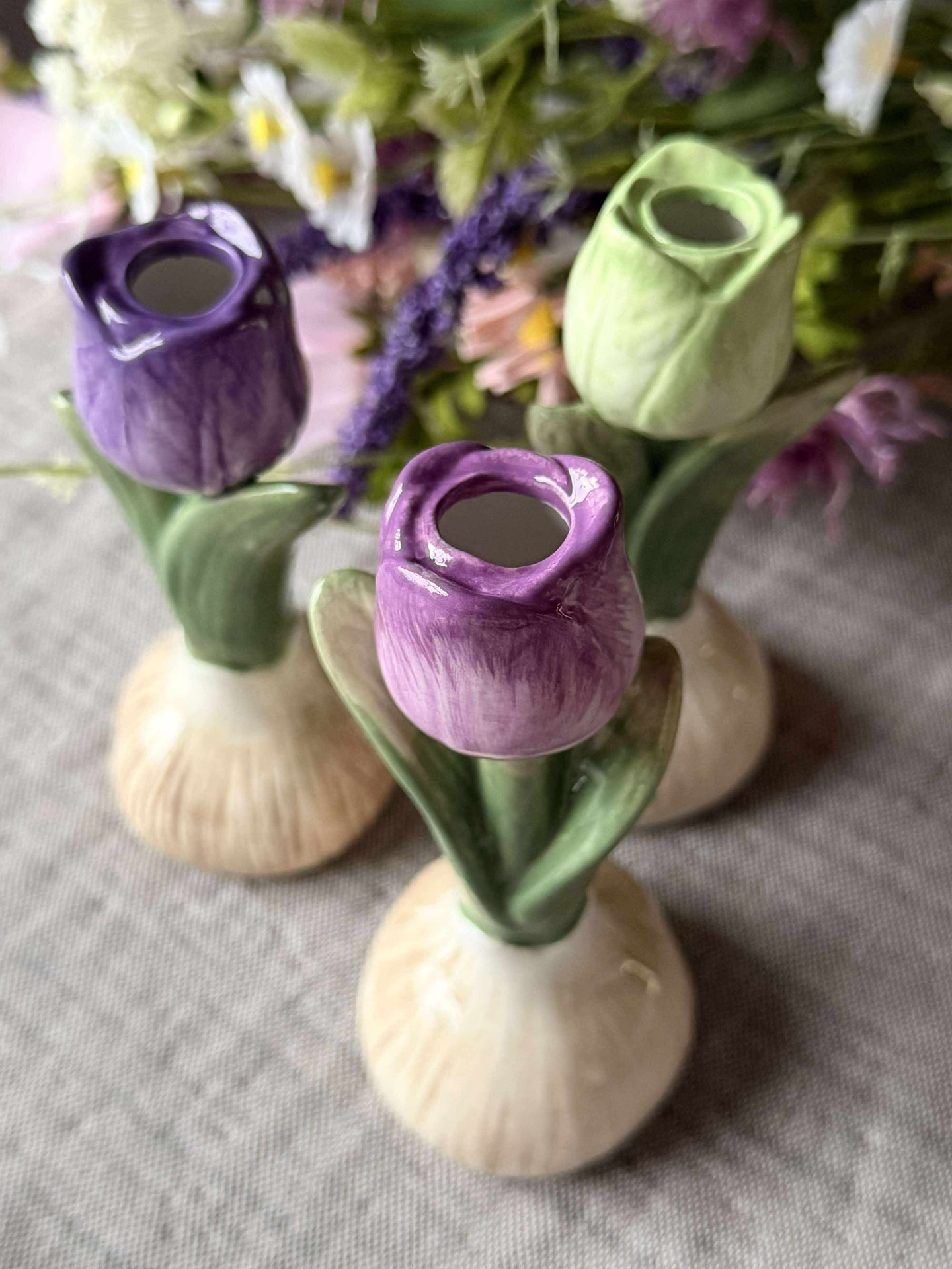 Tulpenzwiebel - 3 Farben