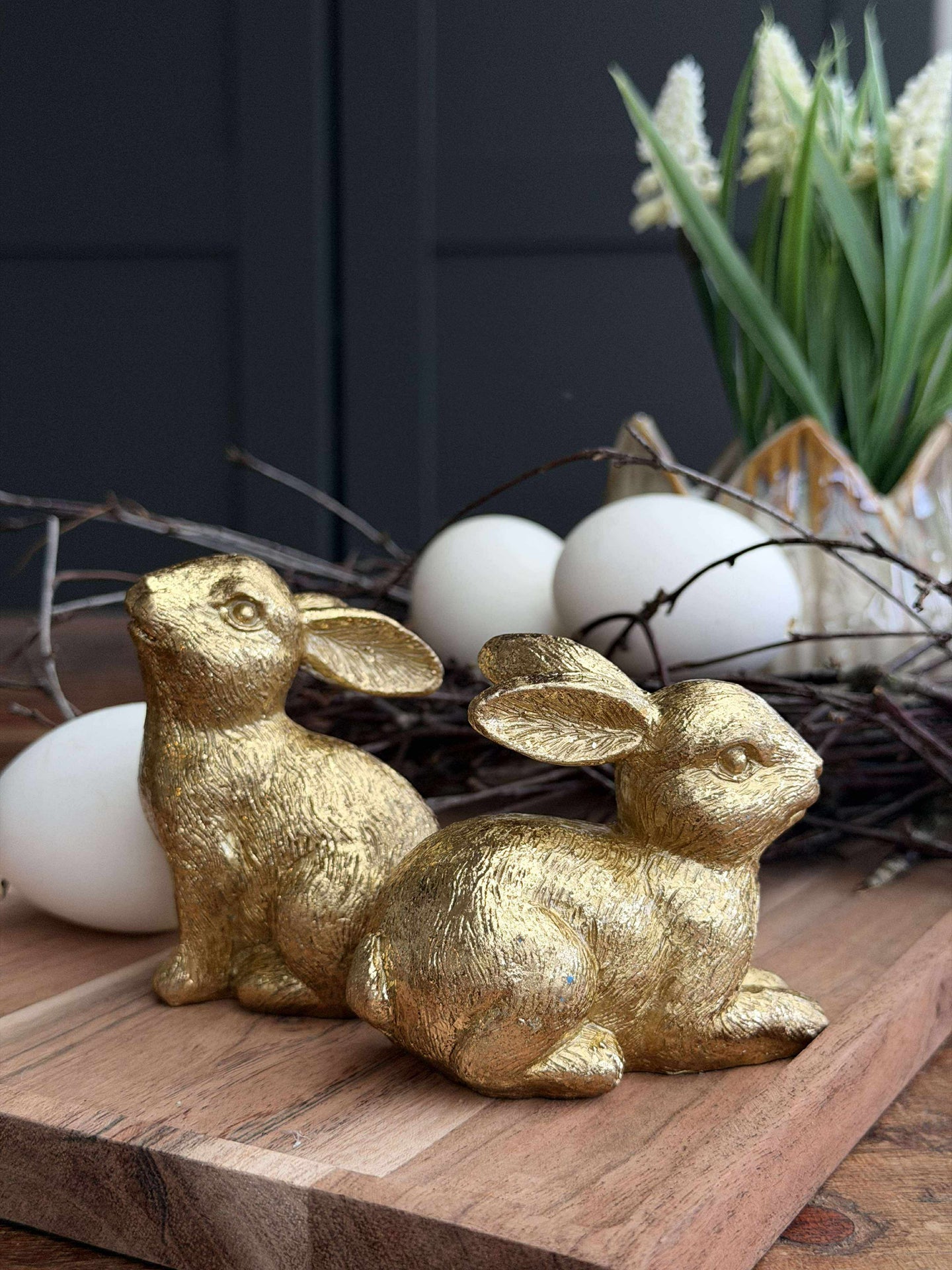 Hase - Golden mix