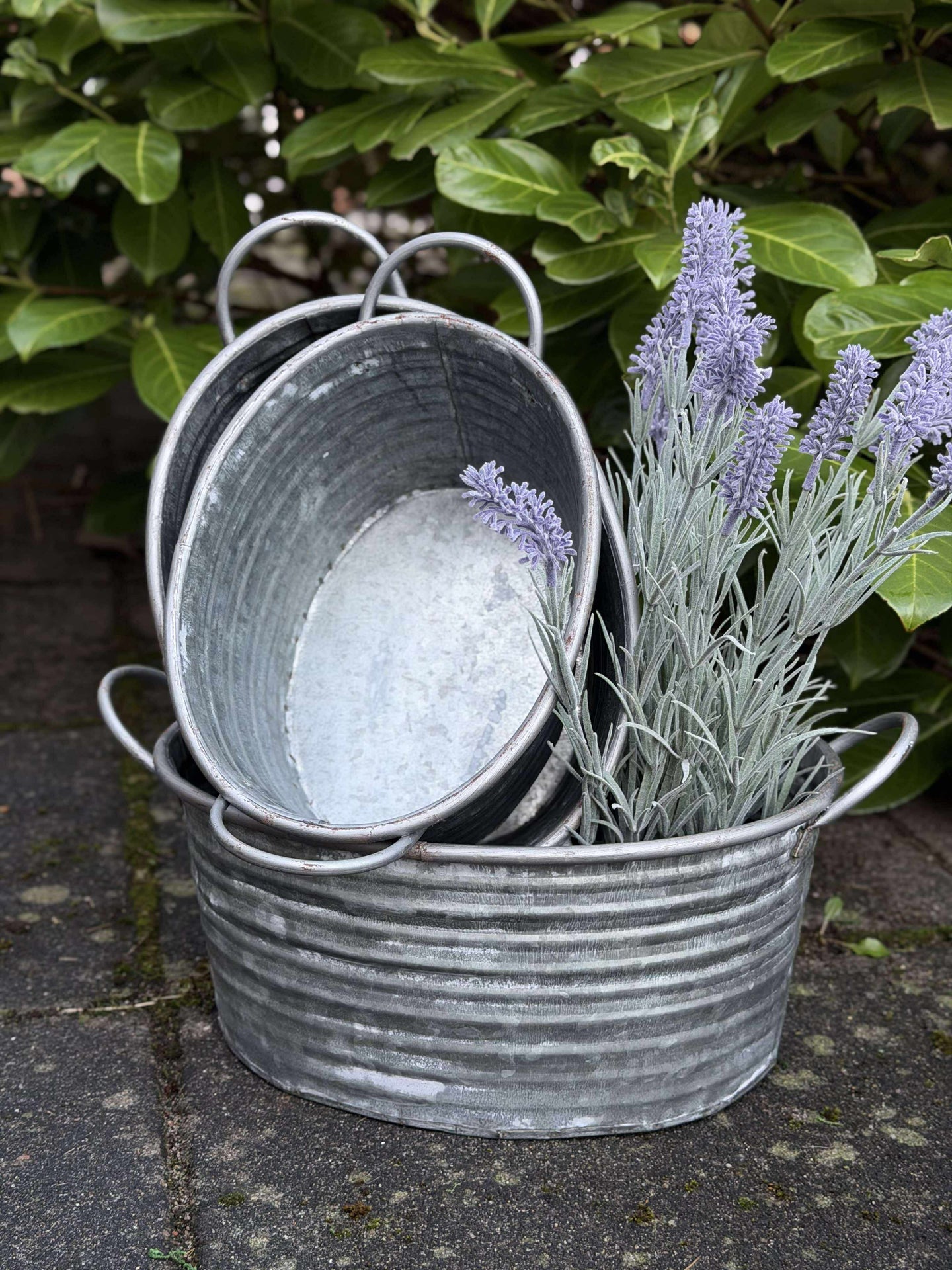 Zinkschalen - Set mit 3 Stk. hellem Rand