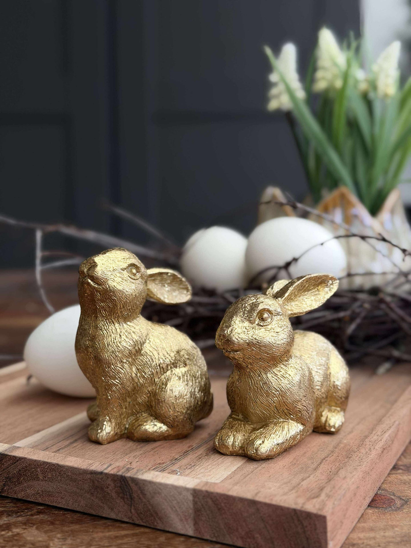 Hase - Golden mix