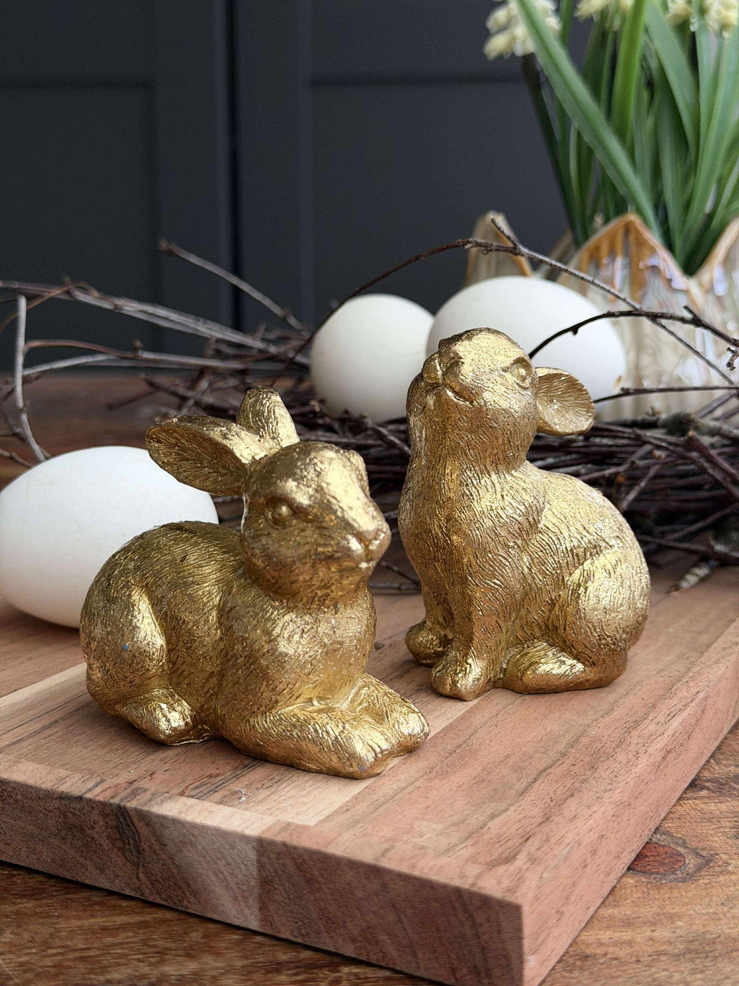 Hase - Golden mix
