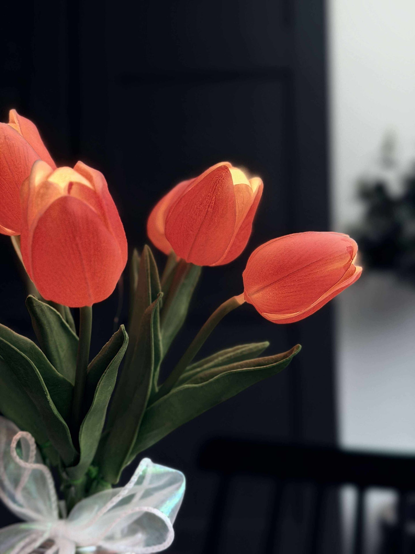 Tulpen mit Licht - Rot