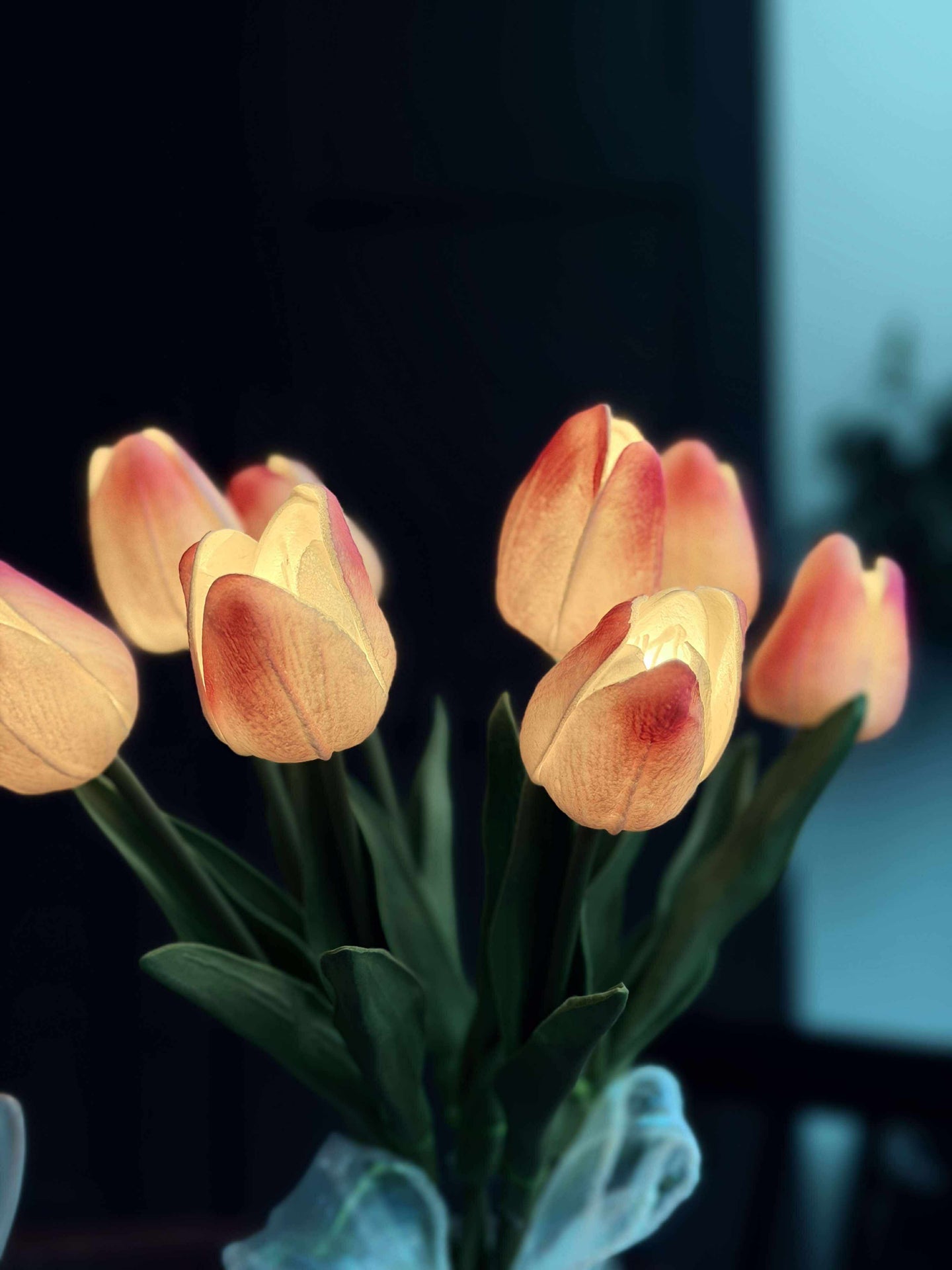 Tulpen mit Licht - Hellrosa