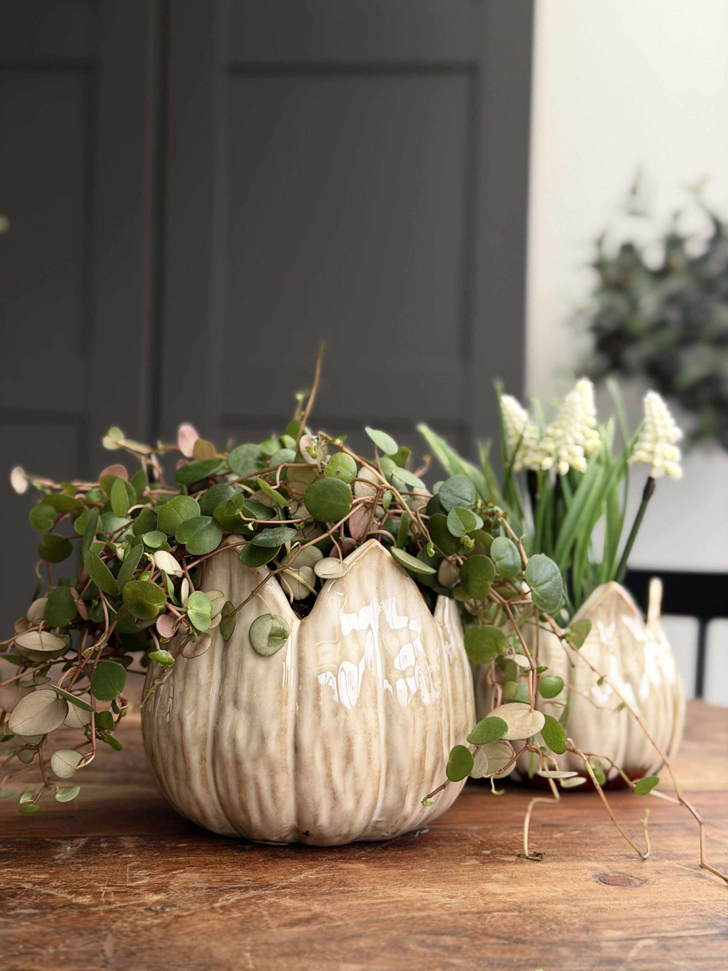 Pflanzentöpfe TULIP beige - mehrere Größen