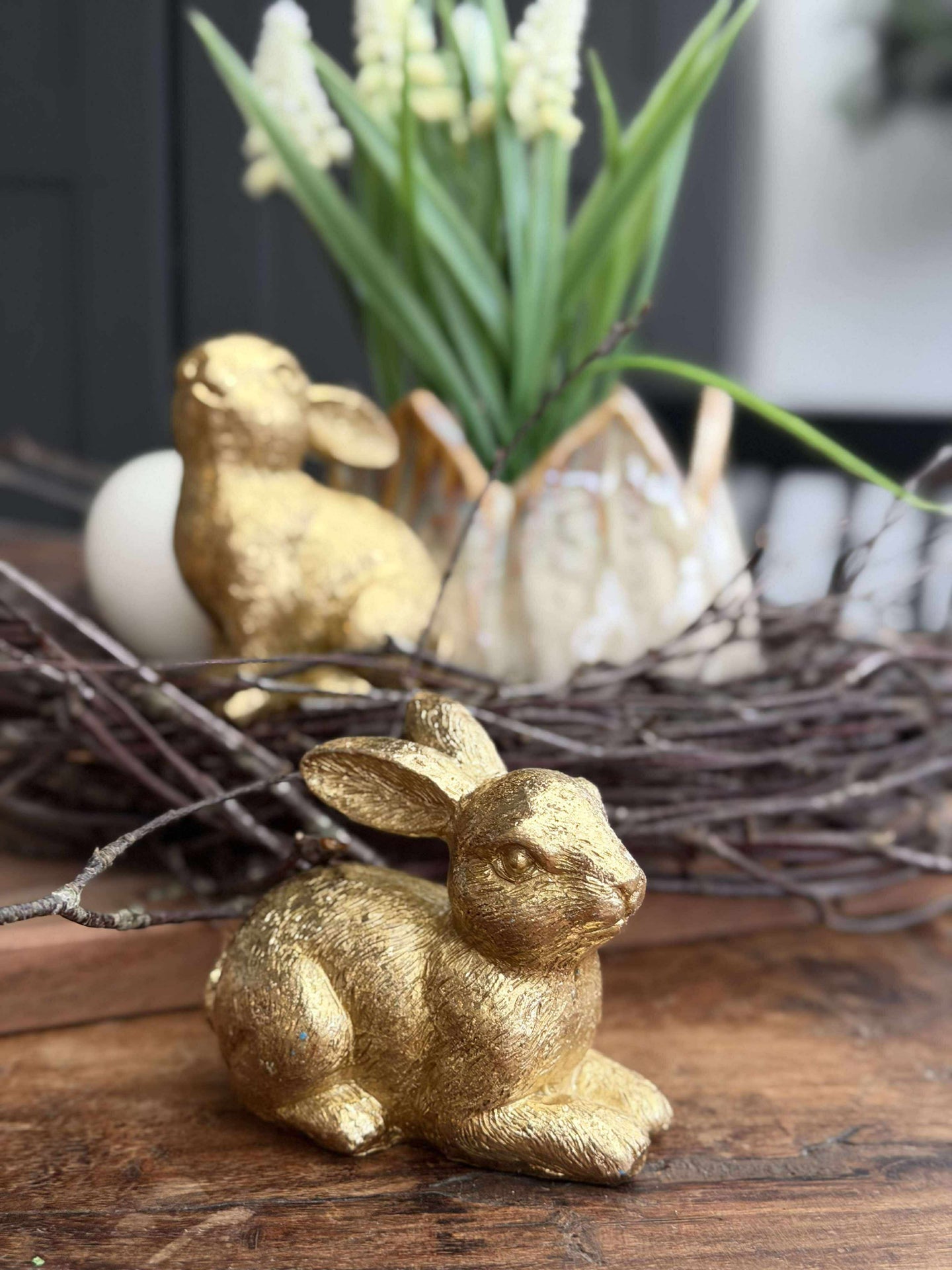 Hase - Golden mix