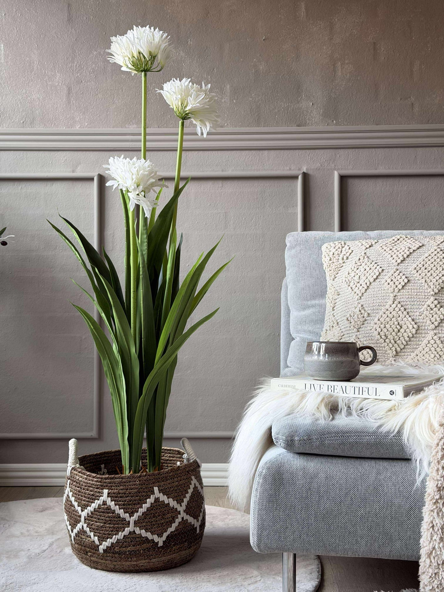 Agapanthus 120 cm - mehrere Farben
