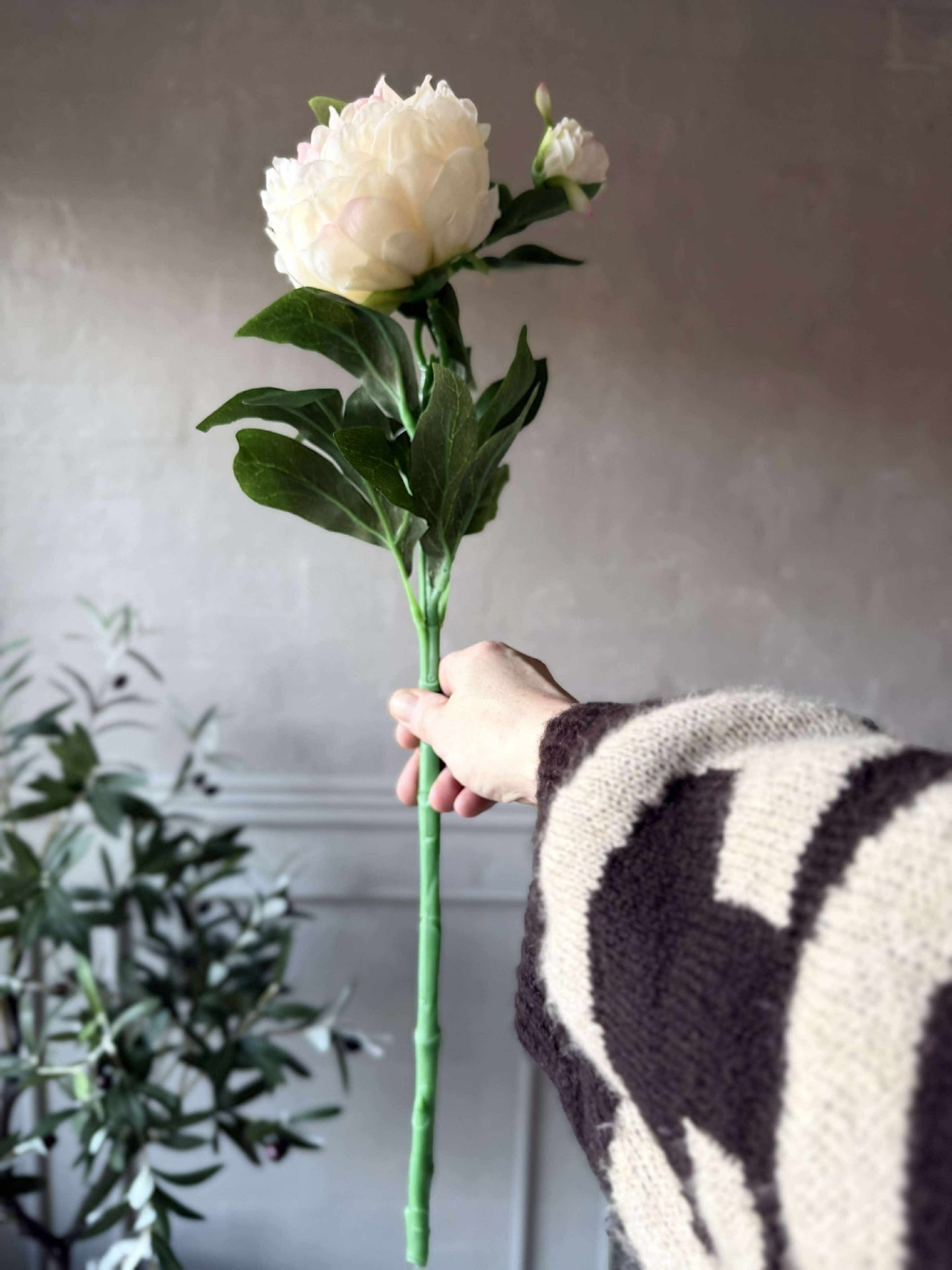 Pfingstrose 60 cm - Mehrere Farben