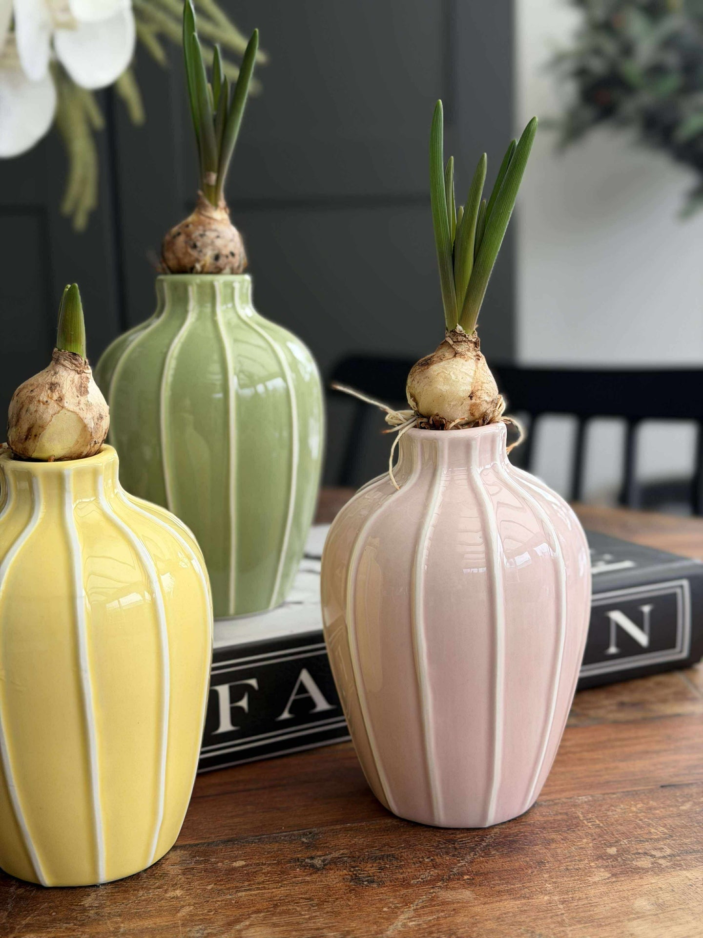 Vase - Verschiedene Farben