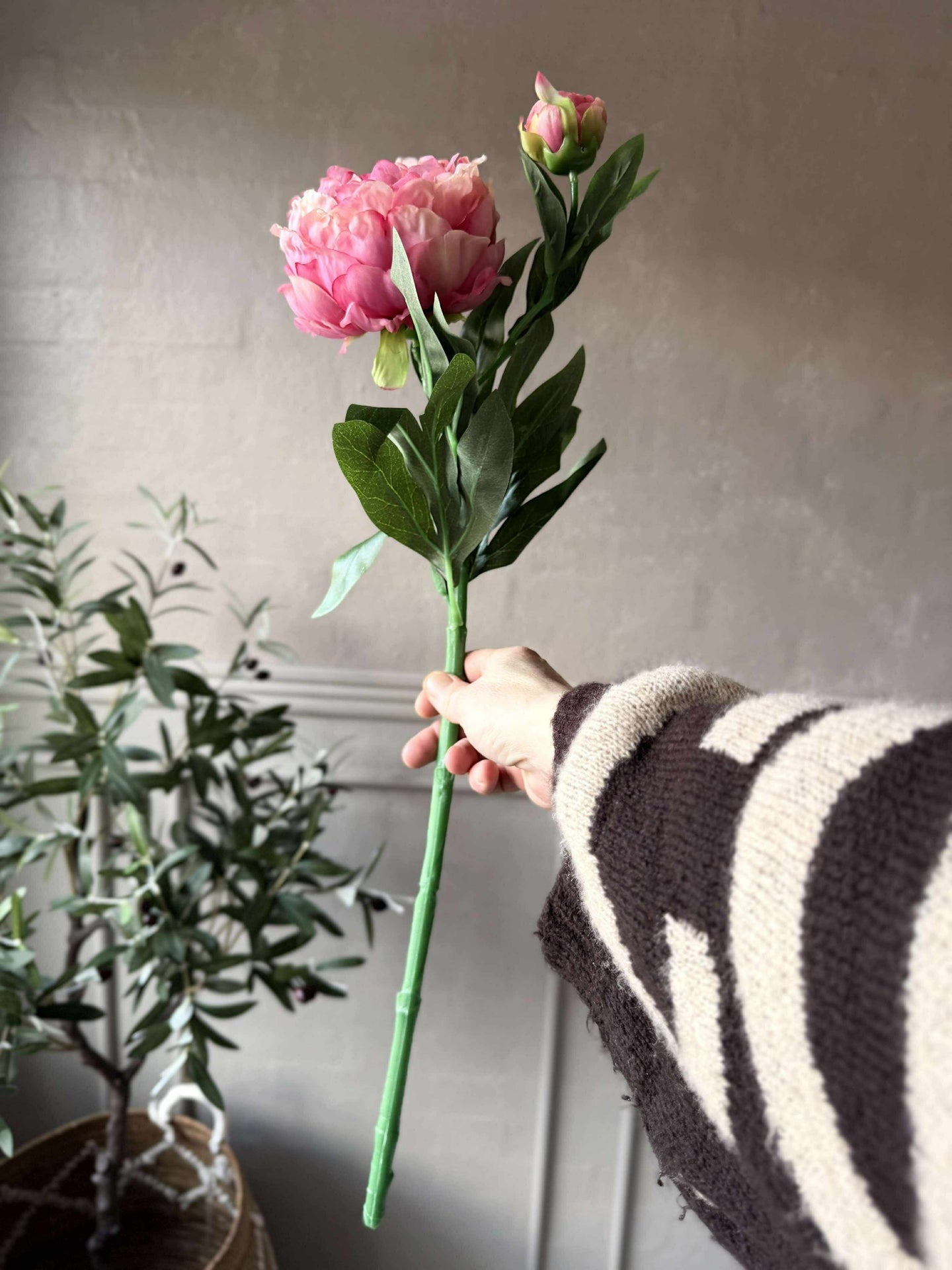 Pfingstrose 60 cm - Mehrere Farben