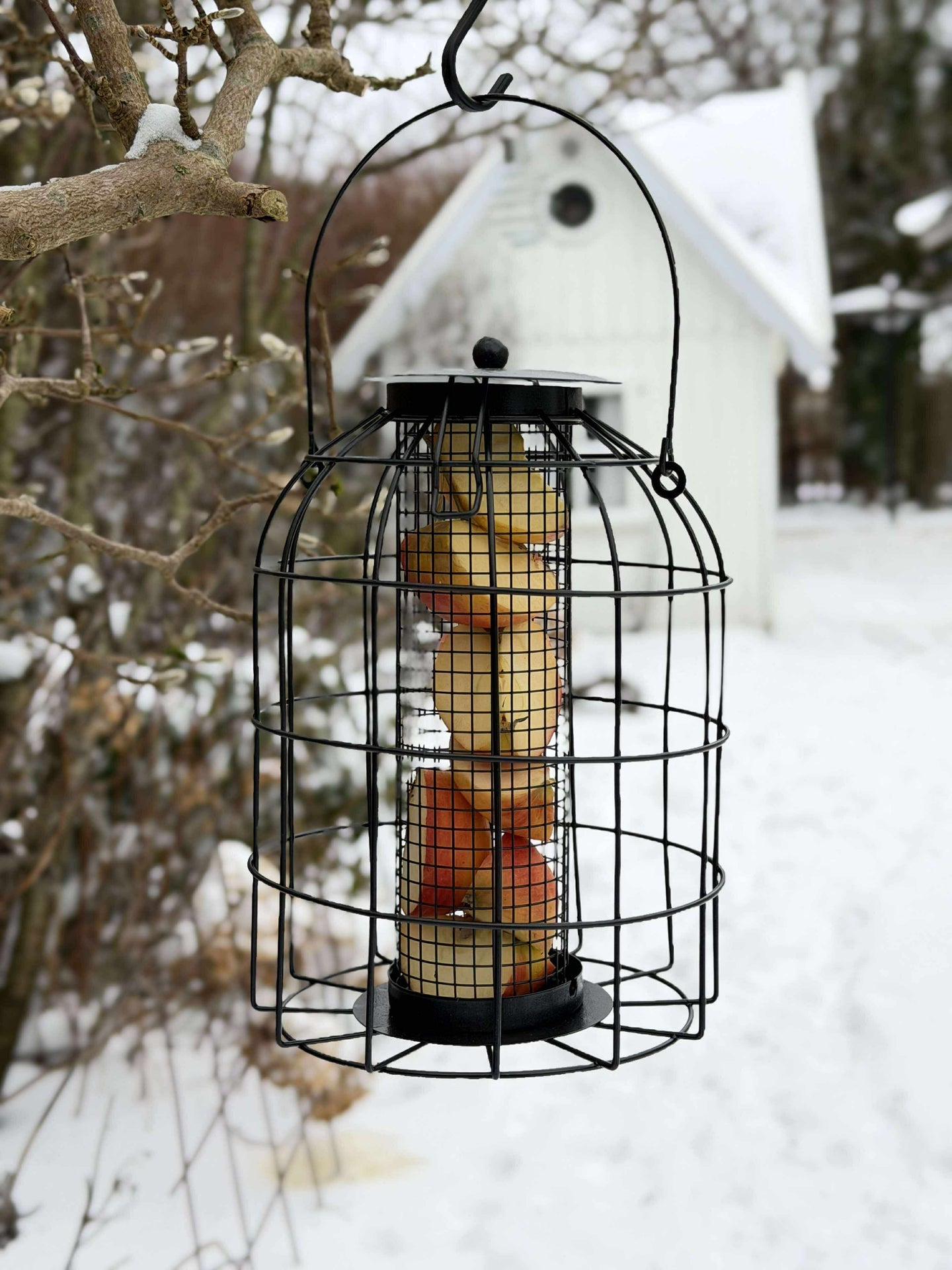 Aufhängung für Vogelfutter