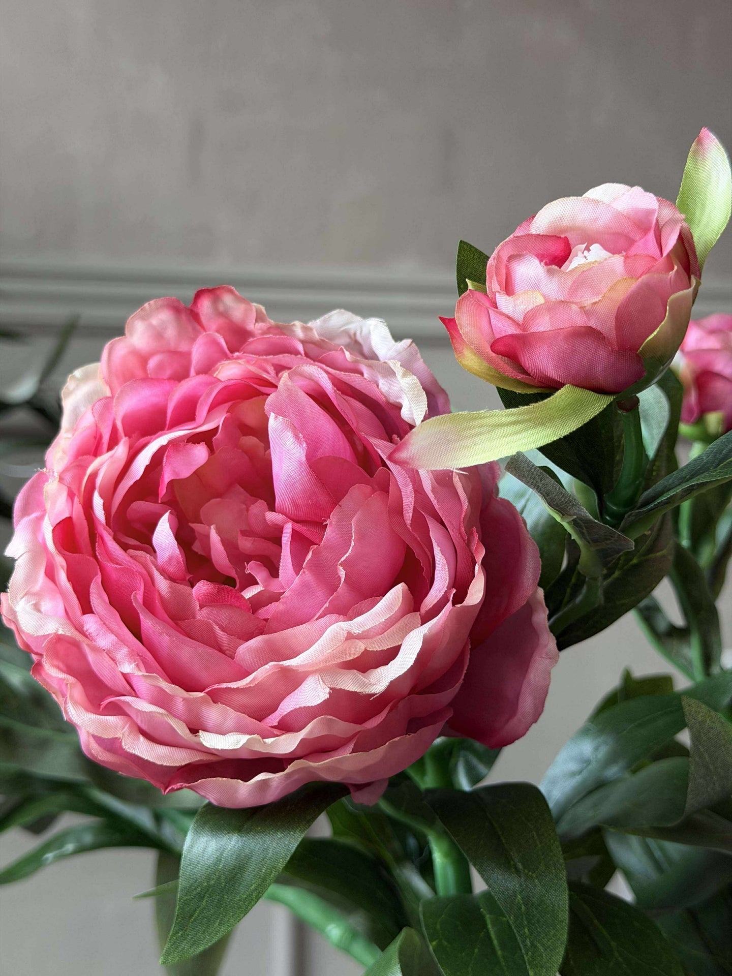 Pfingstrose 60 cm - Mehrere Farben