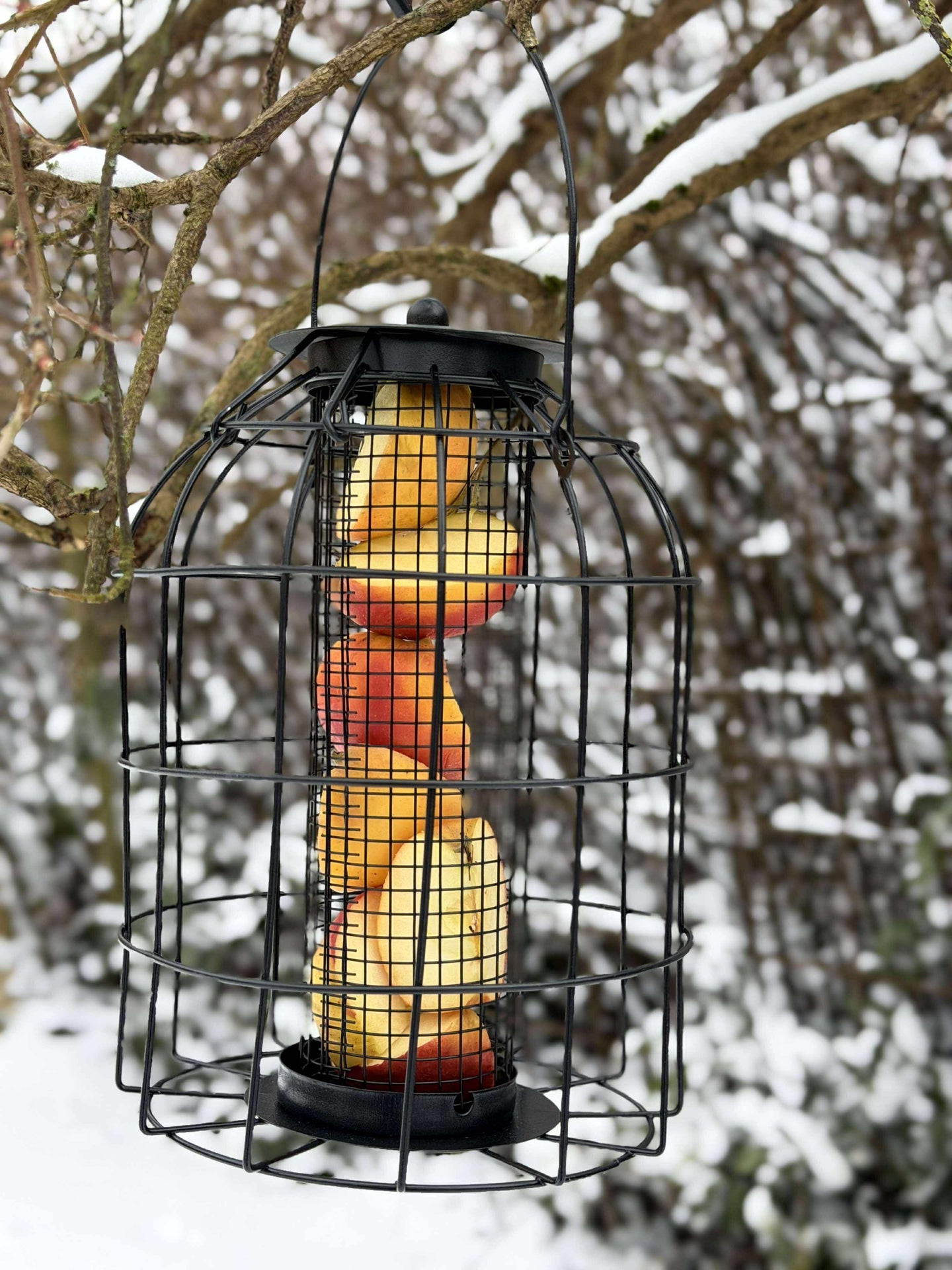 Aufhängung für Vogelfutter