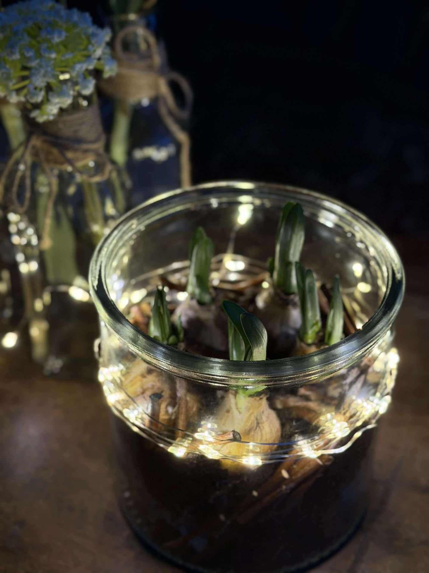 Glas zur Dekoration (glas til)