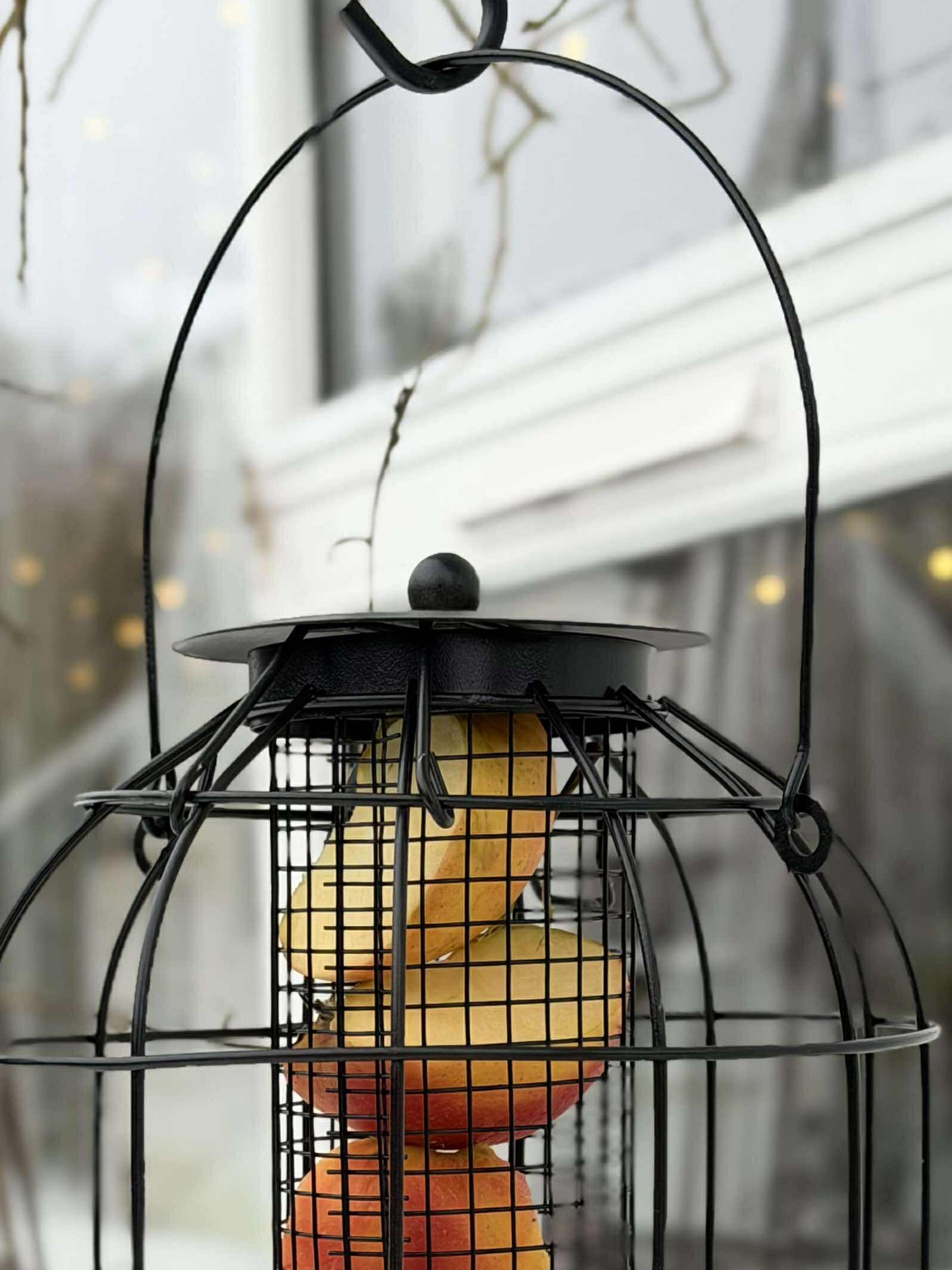 Aufhängung für Vogelfutter