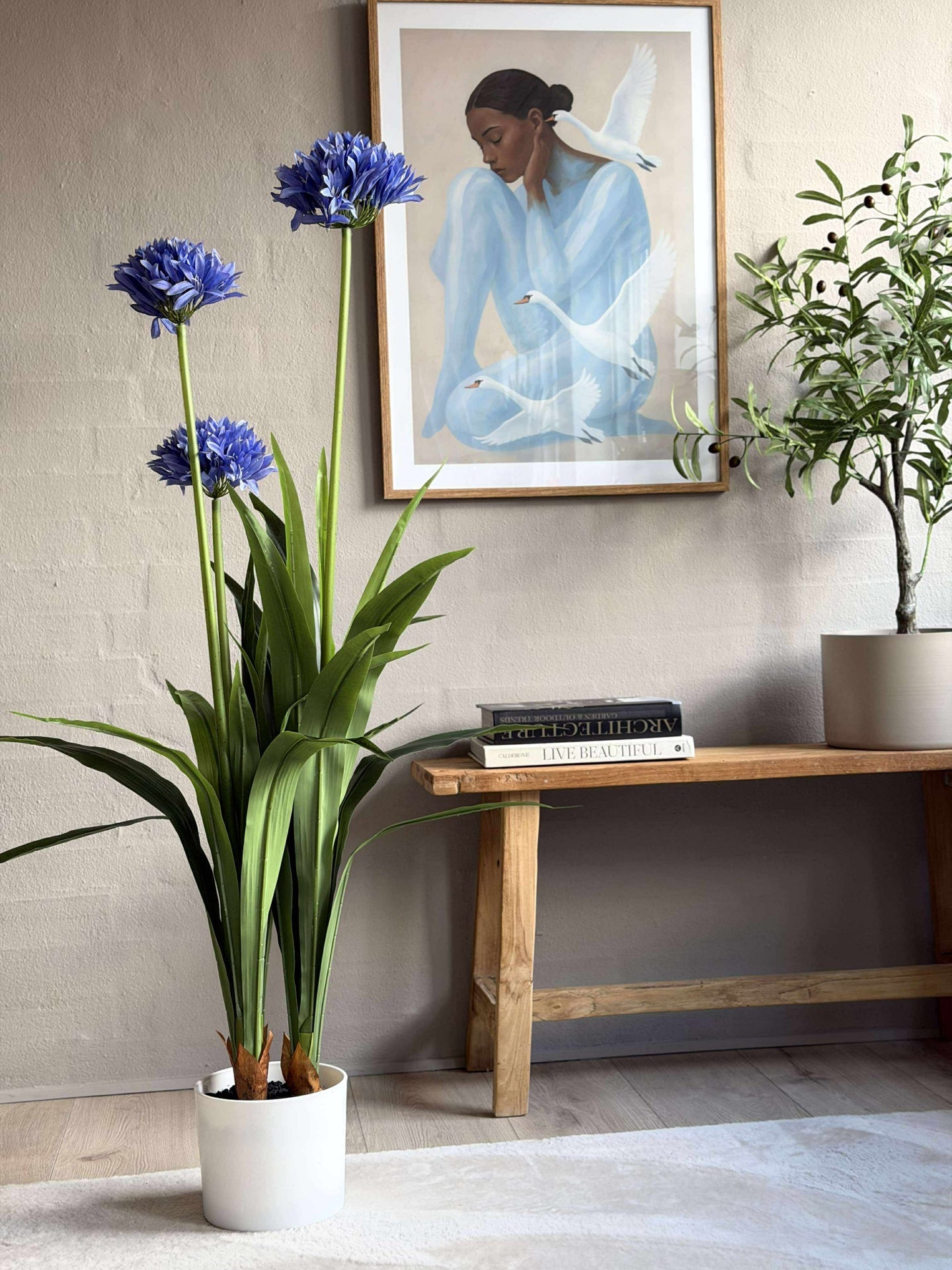 Agapanthus 120 cm - mehrere Farben