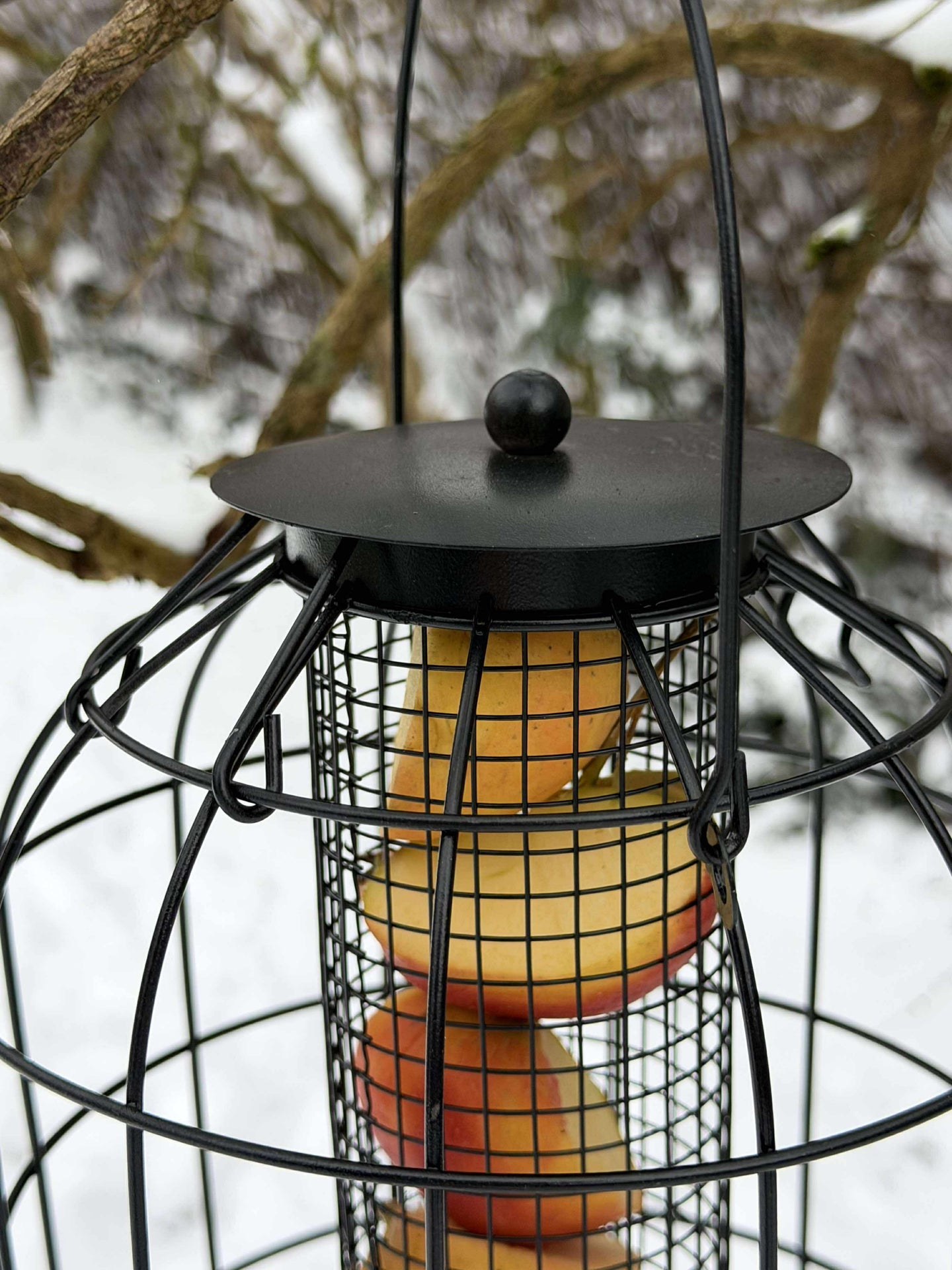 Aufhängung für Vogelfutter