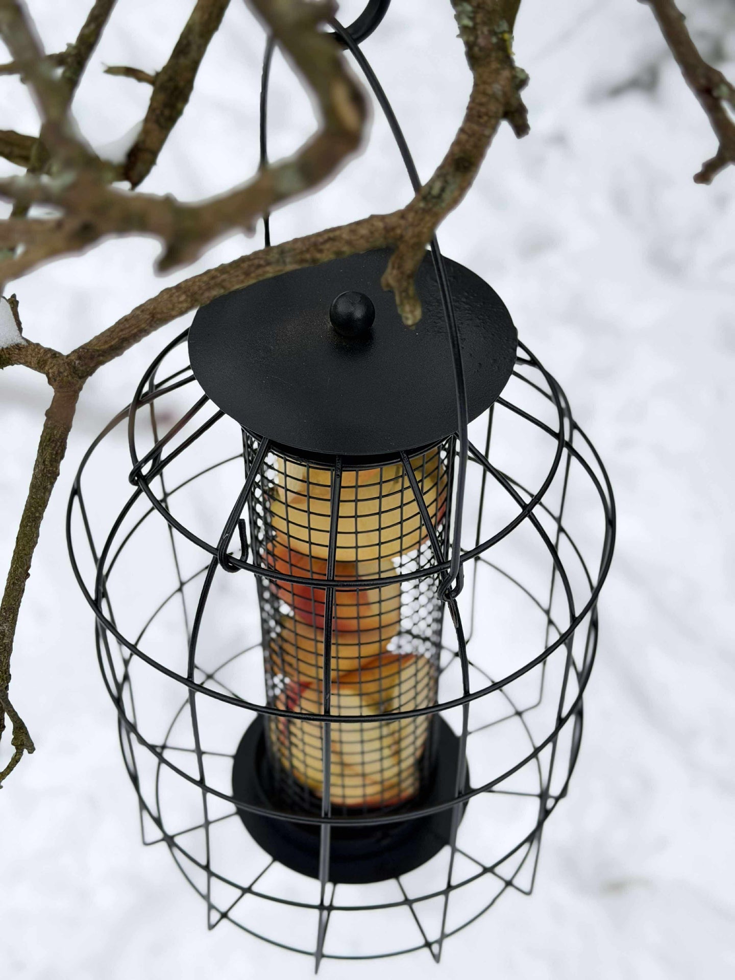 Aufhängung für Vogelfutter
