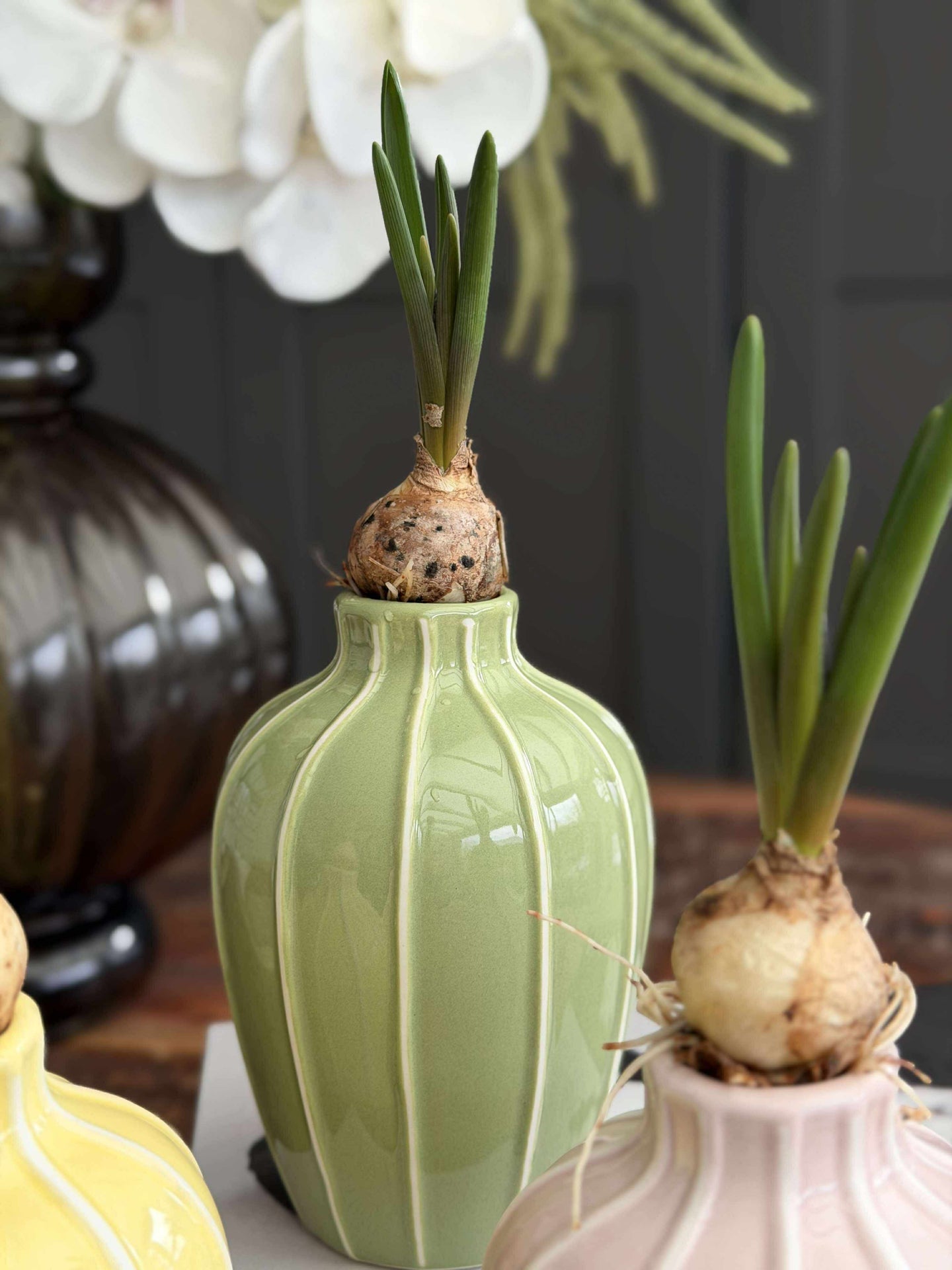Vase - Verschiedene Farben