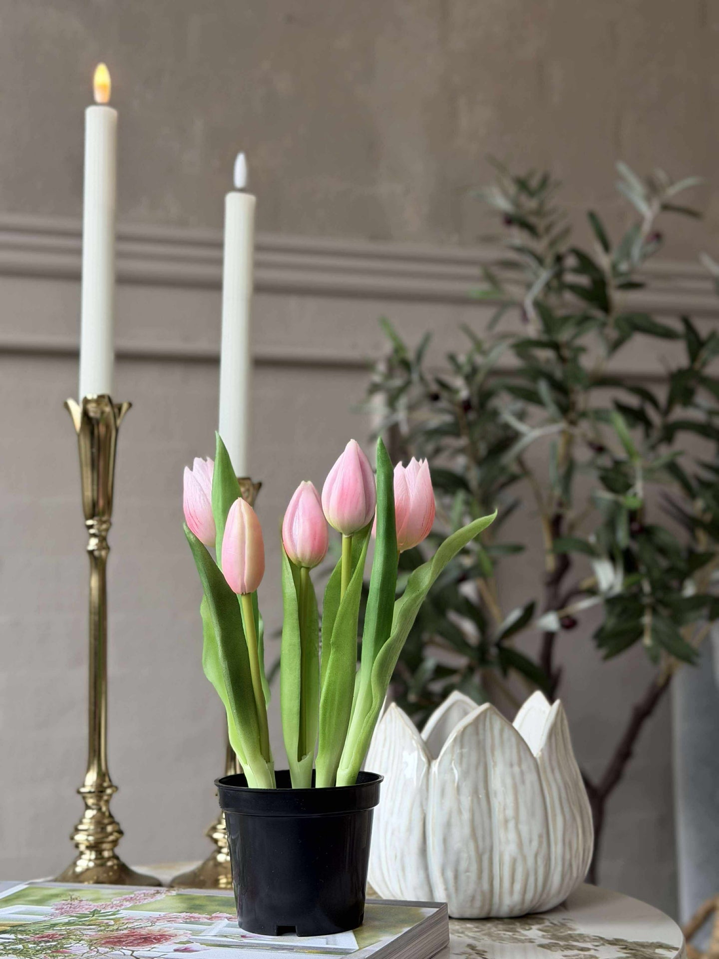 Tulpe im Topf - Rosa