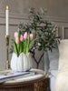 Tulpe im Topf - Rosa