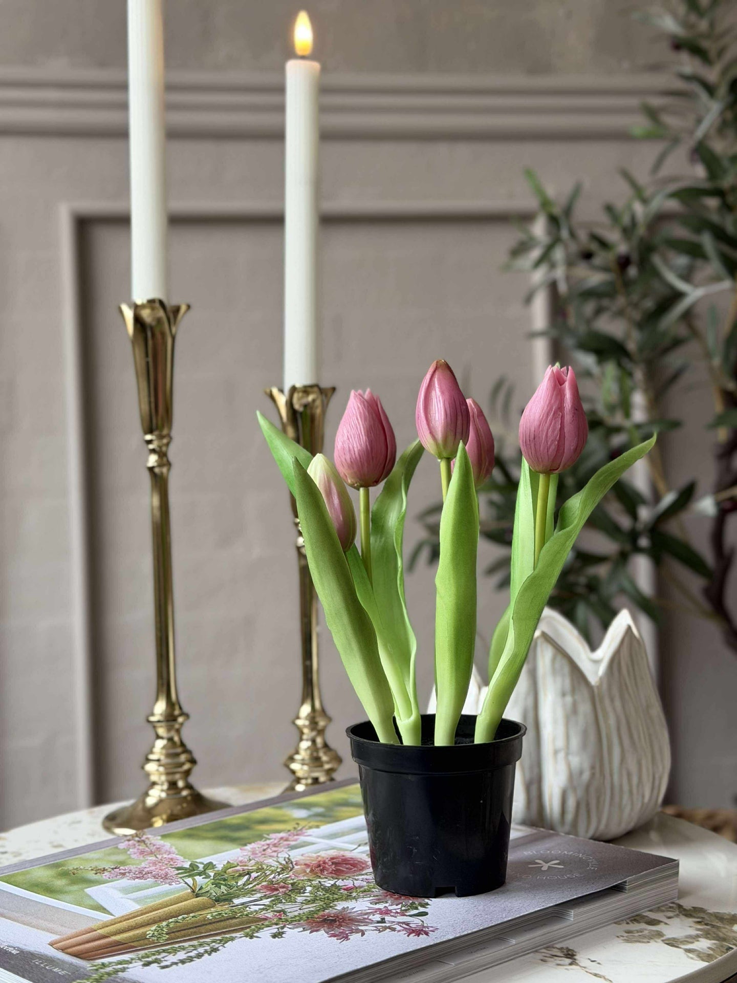 Tulpe im Topf - Dunkelrosa