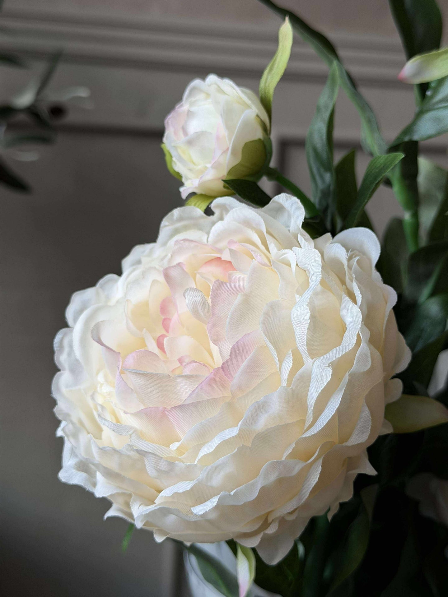 Pfingstrose 60 cm - Mehrere Farben