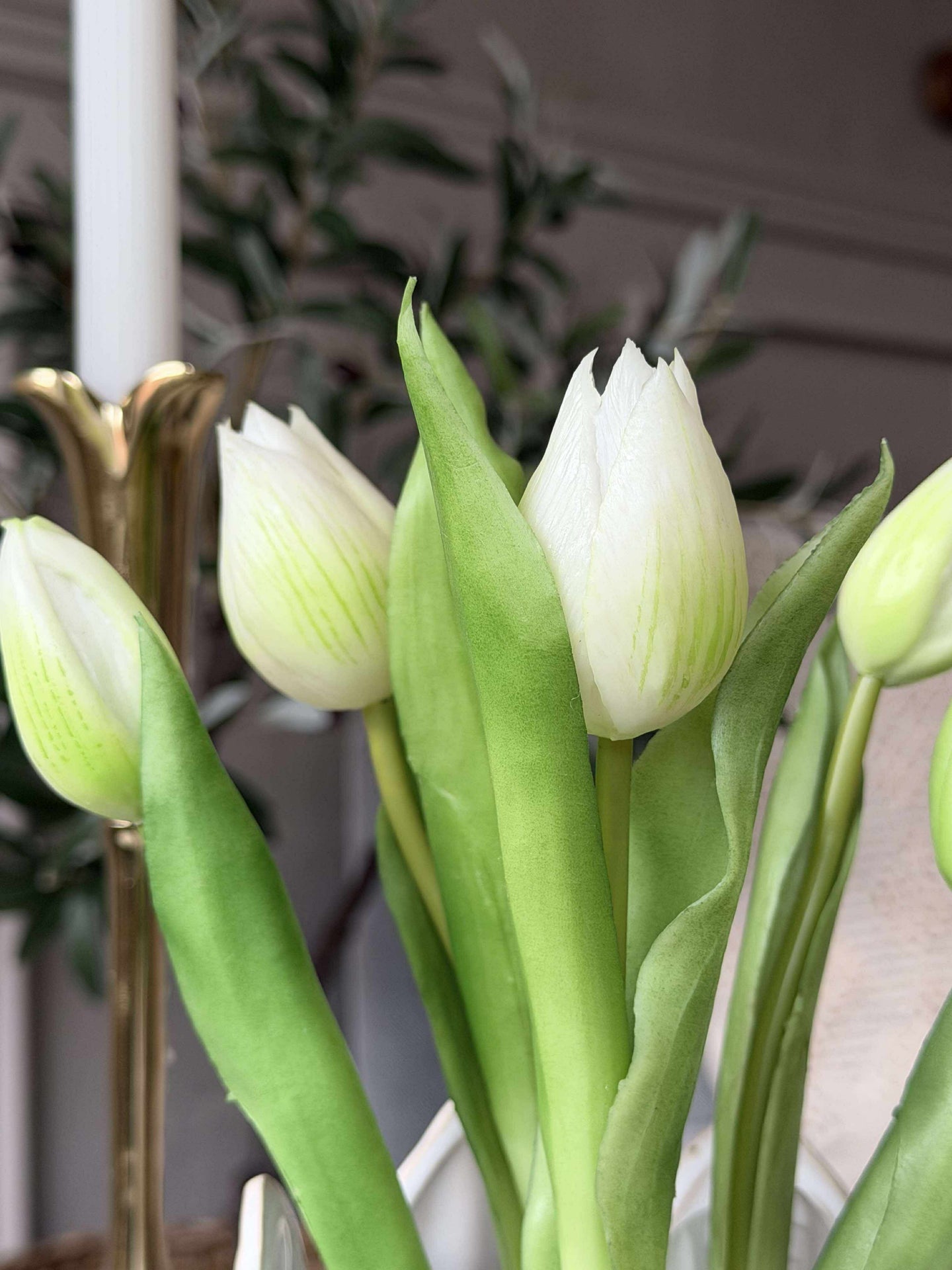 Tulpe im Topf - Weiß