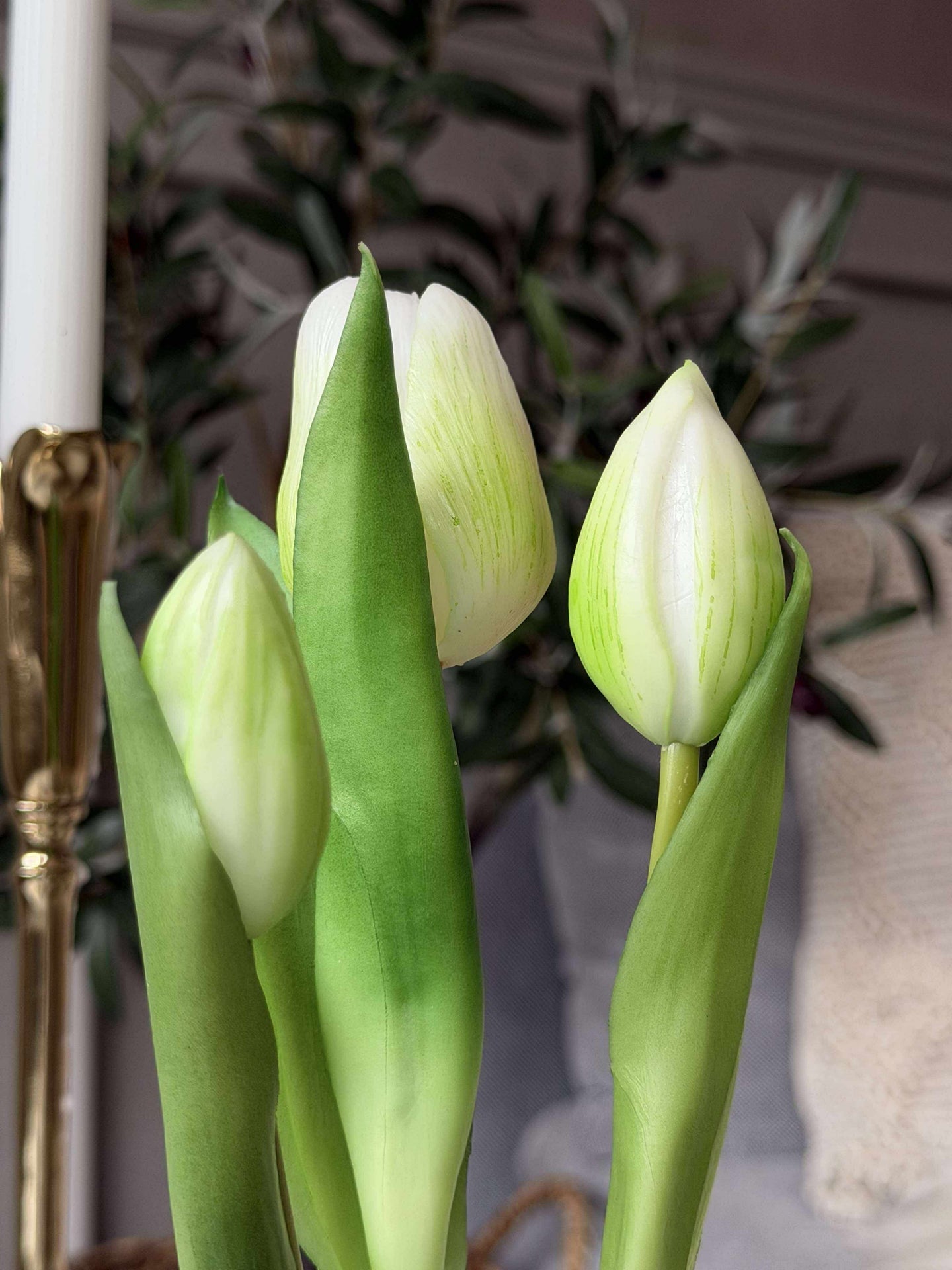 Tulpe im Topf - Weiß med 3 Blüten