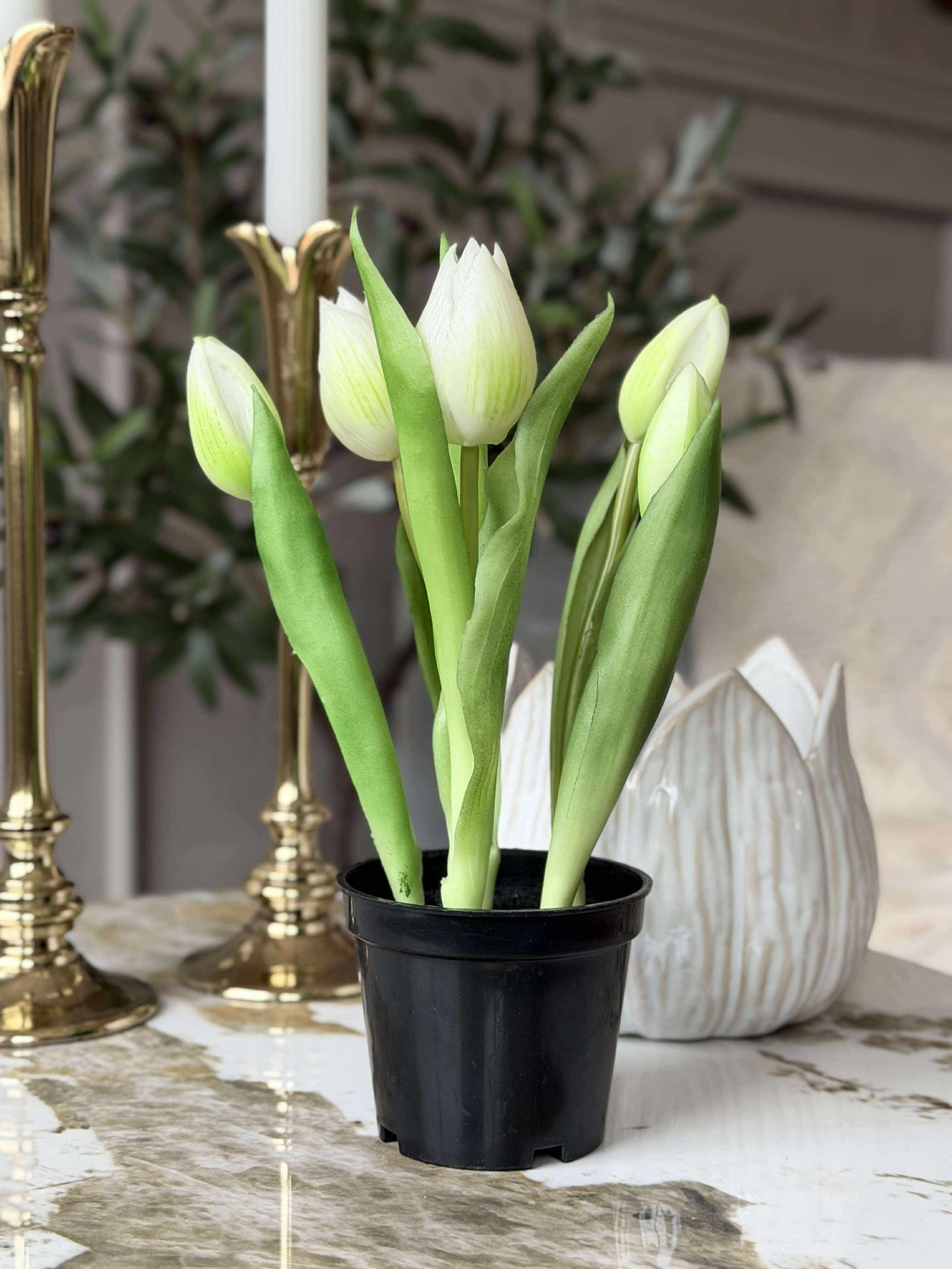Tulpe im Topf - Weiß