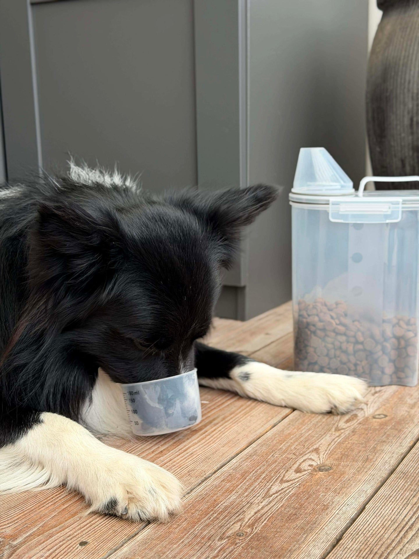 Behälter mit Messbecher für Tierfutter