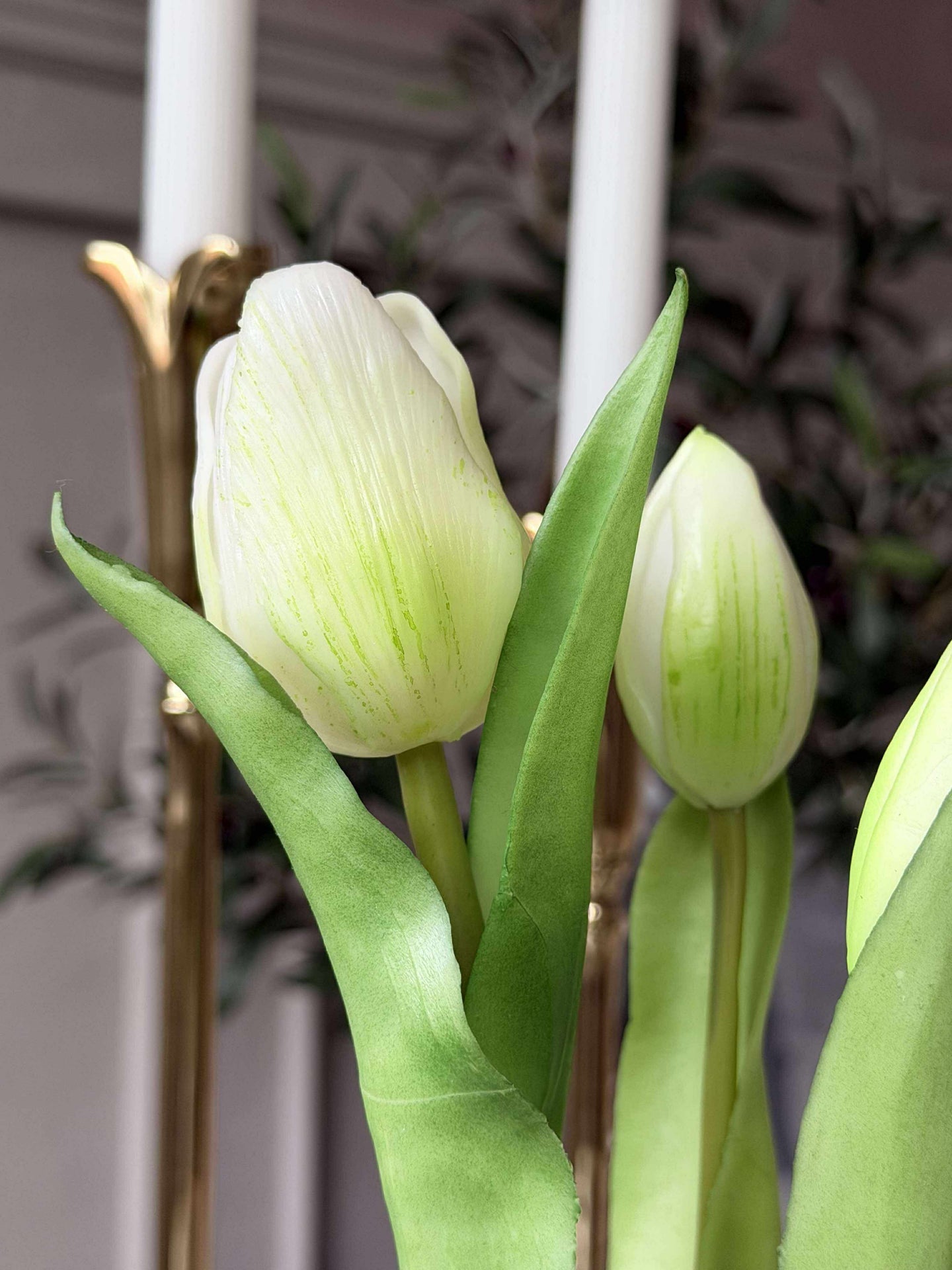 Tulpe im Topf - Weiß med 3 Blüten
