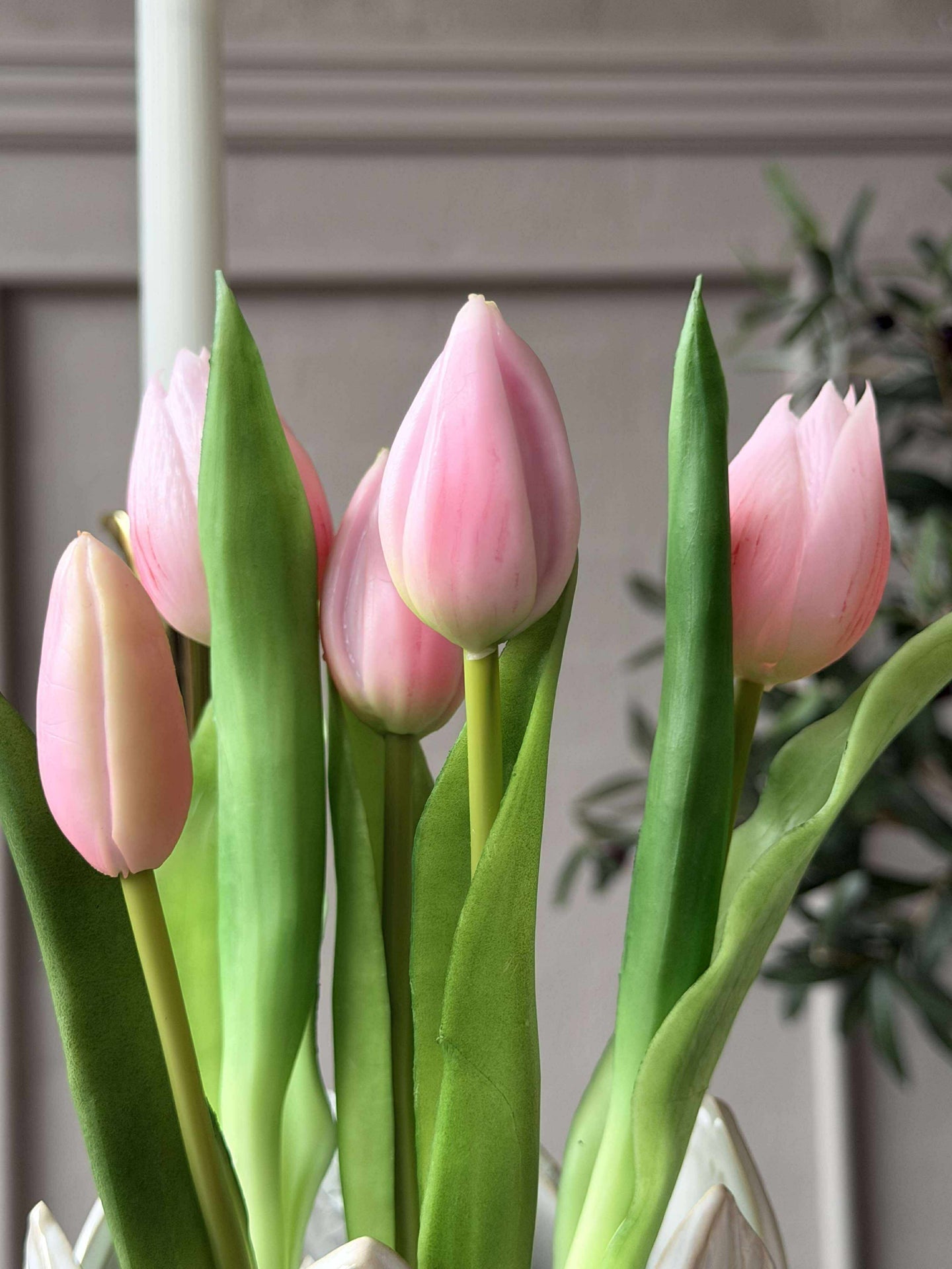 Tulpe im Topf - Rosa